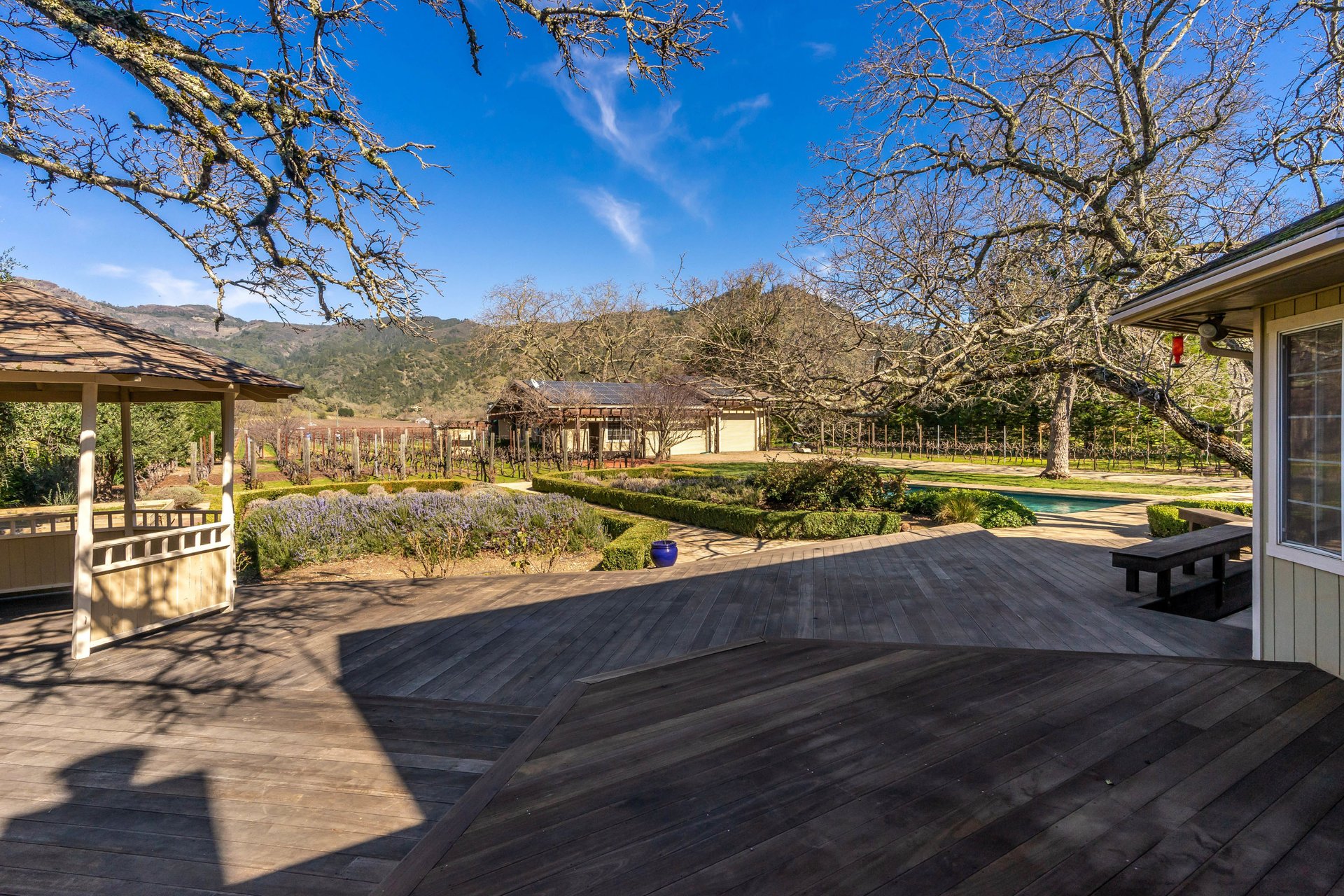 Vineyard Paradise - SOLD