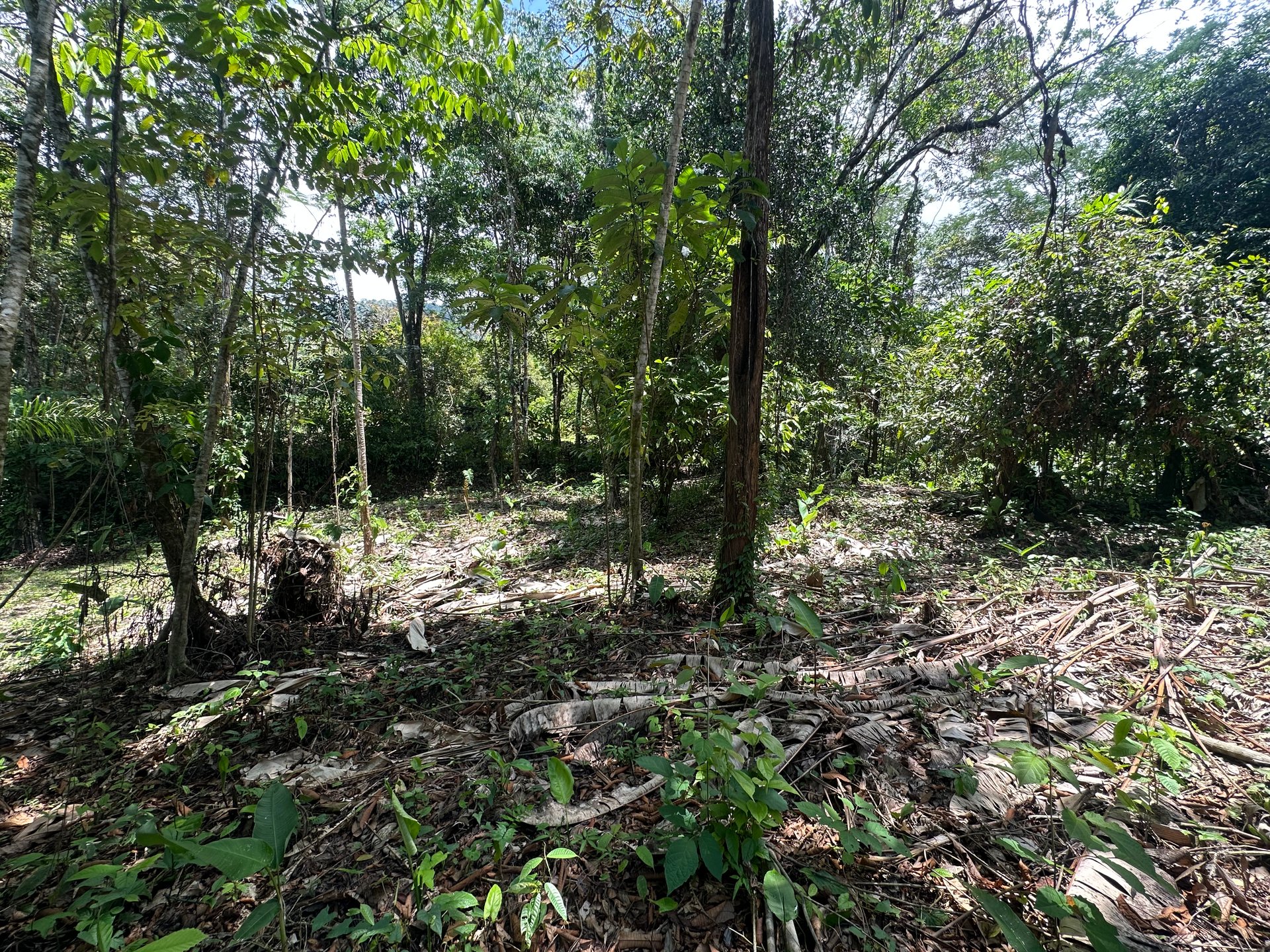 Ocean View Estate Lot with Private Waterfall – Uvita