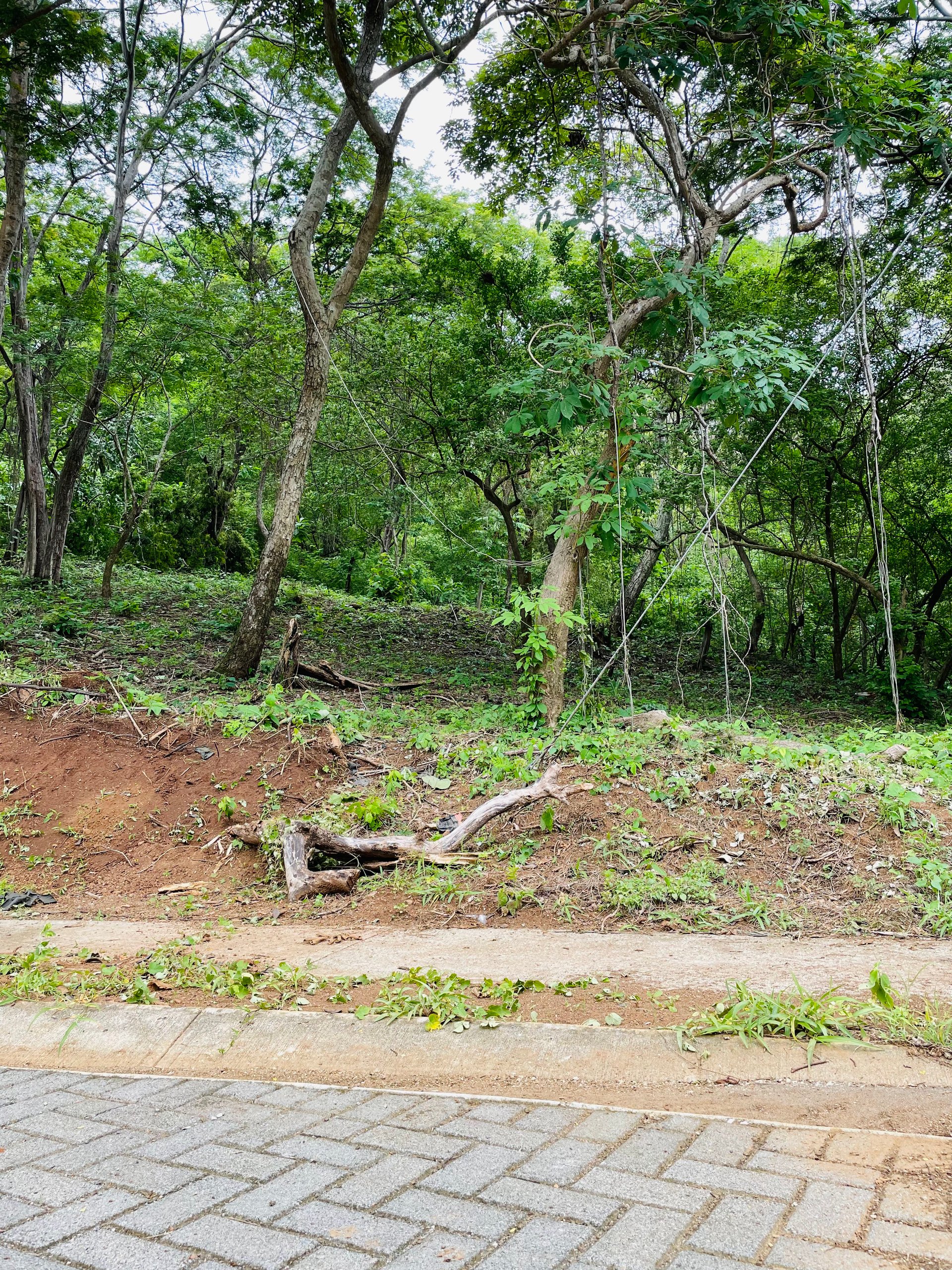 Valle Escondido