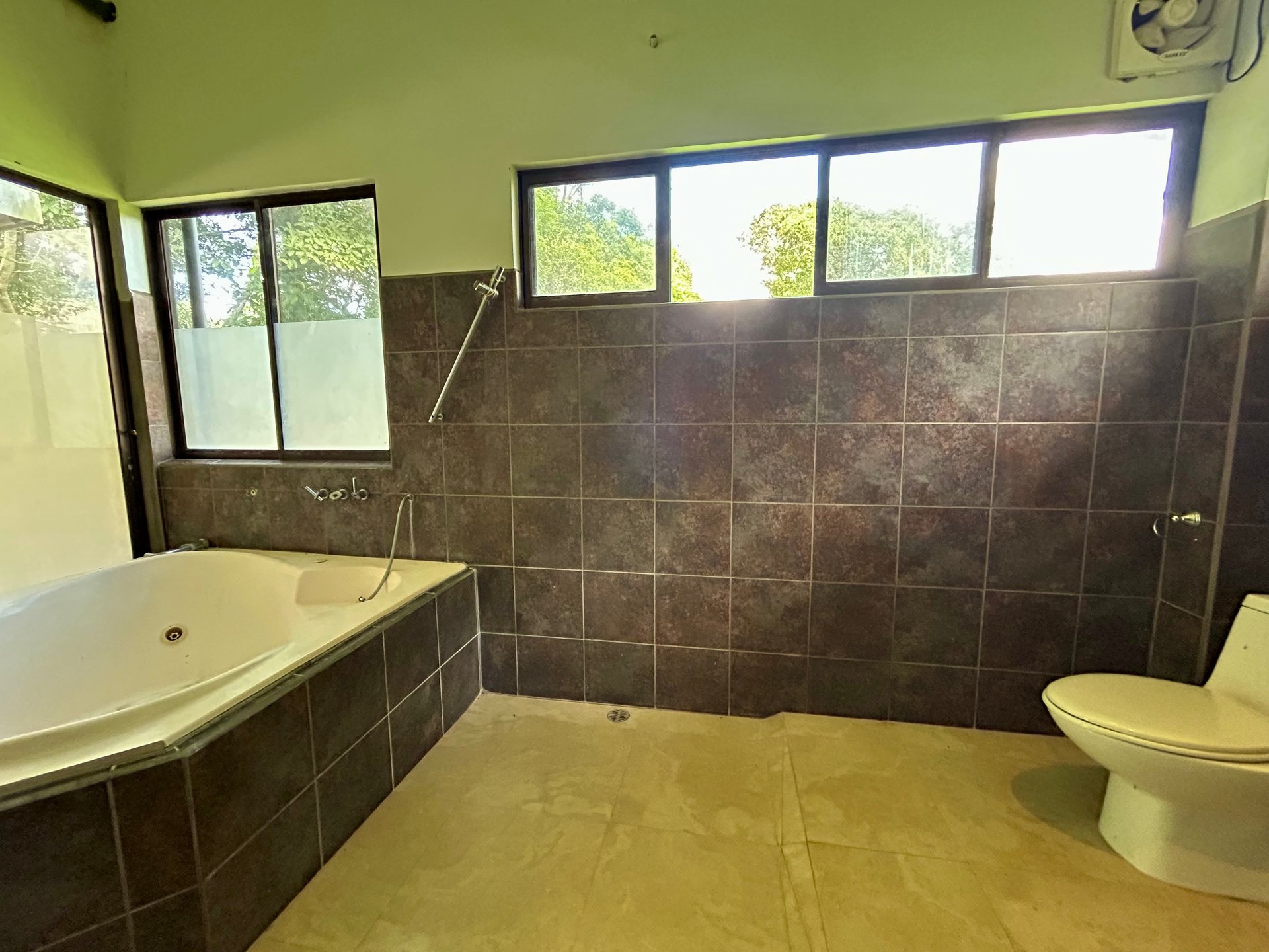 Fixer-Upper Home with an studio Office in Palmar Norte on a 7.58 Acres Property