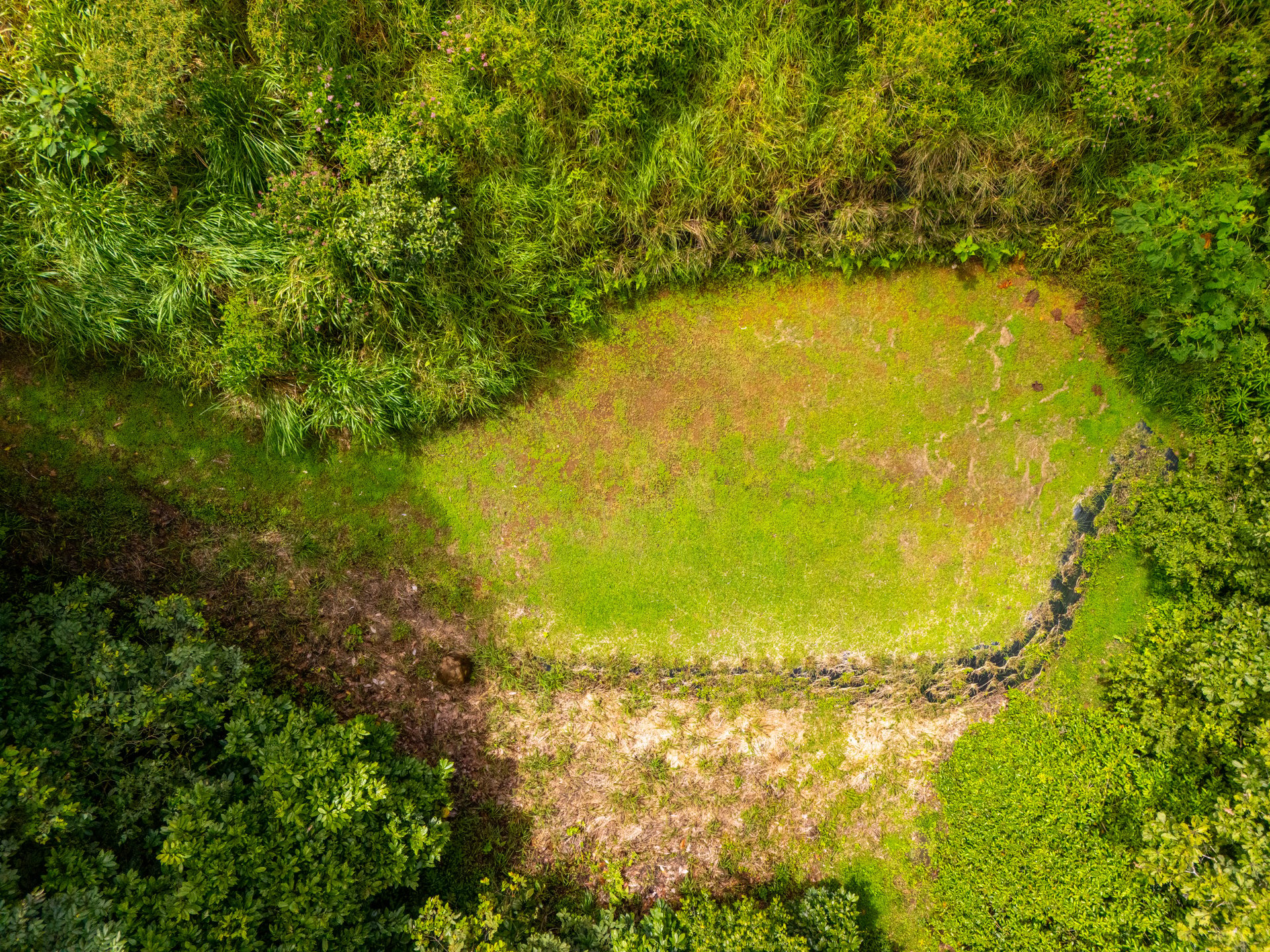 Plant Your Roots at Tierra Bendita! 2.5 Acres, River Frontage, 2 Bedroom Home, Private, Easy Access!