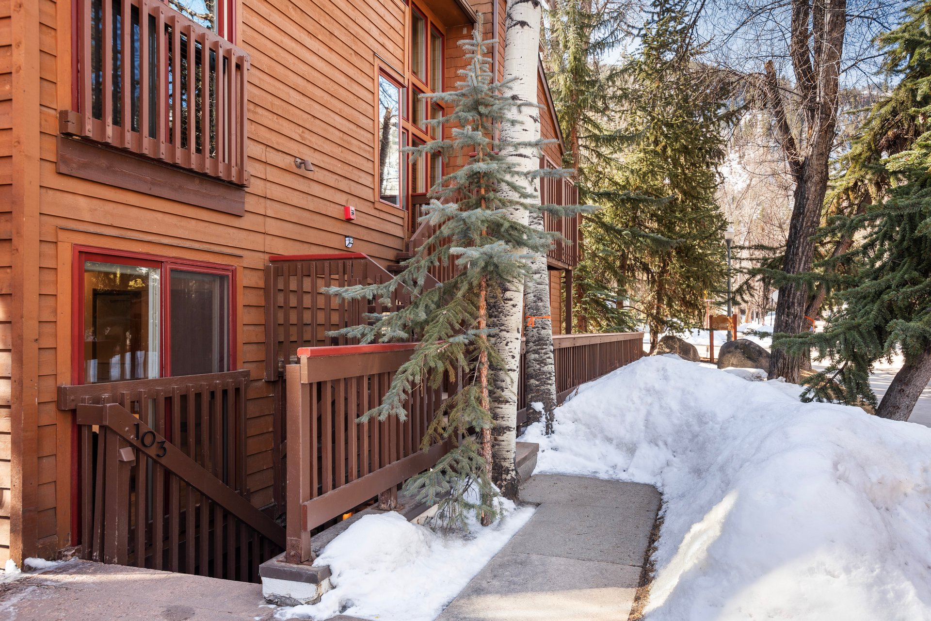Newly Remodeled Core Condo with Aspen Mountain Views