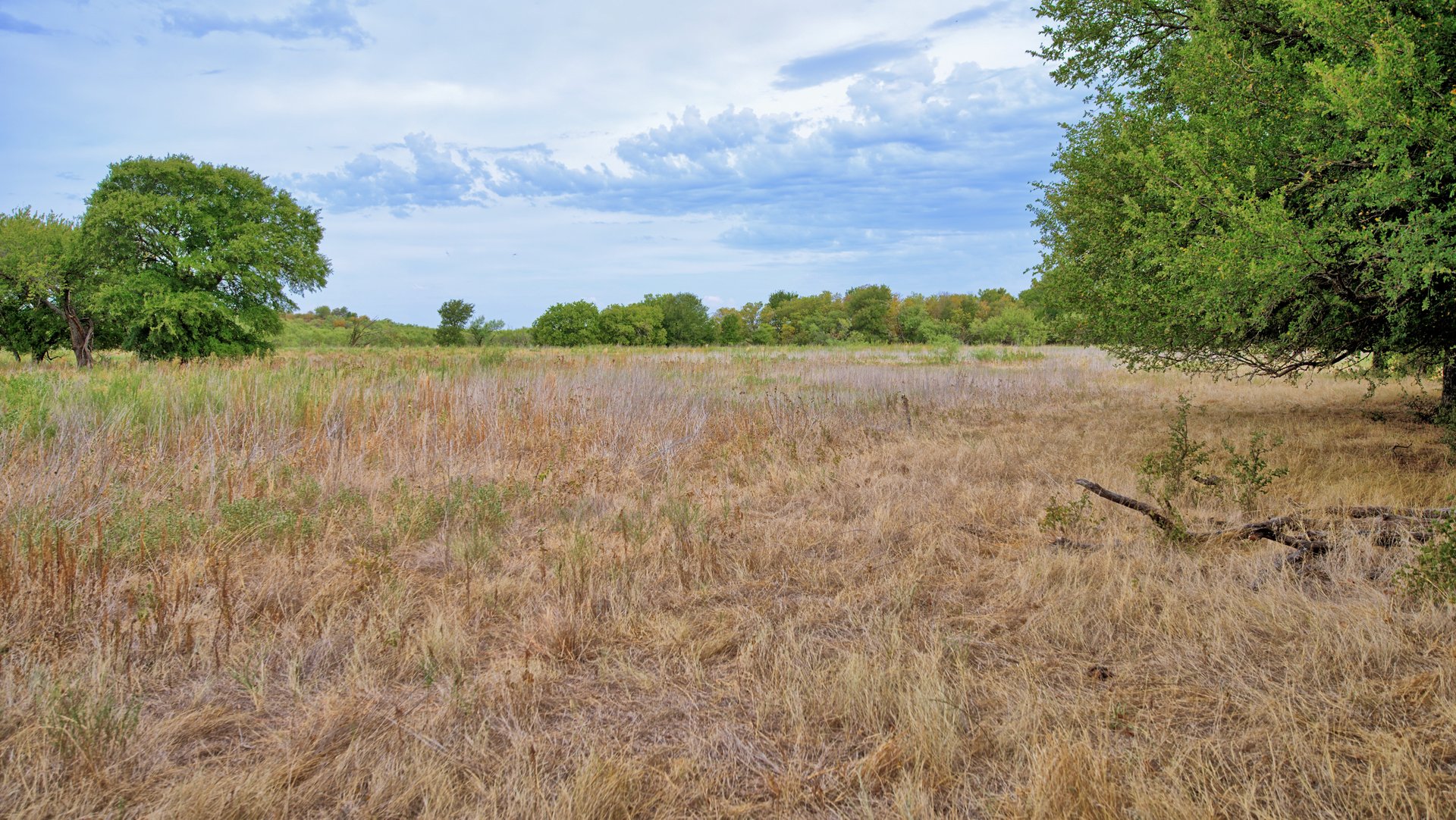 Cross Creek Ranch 