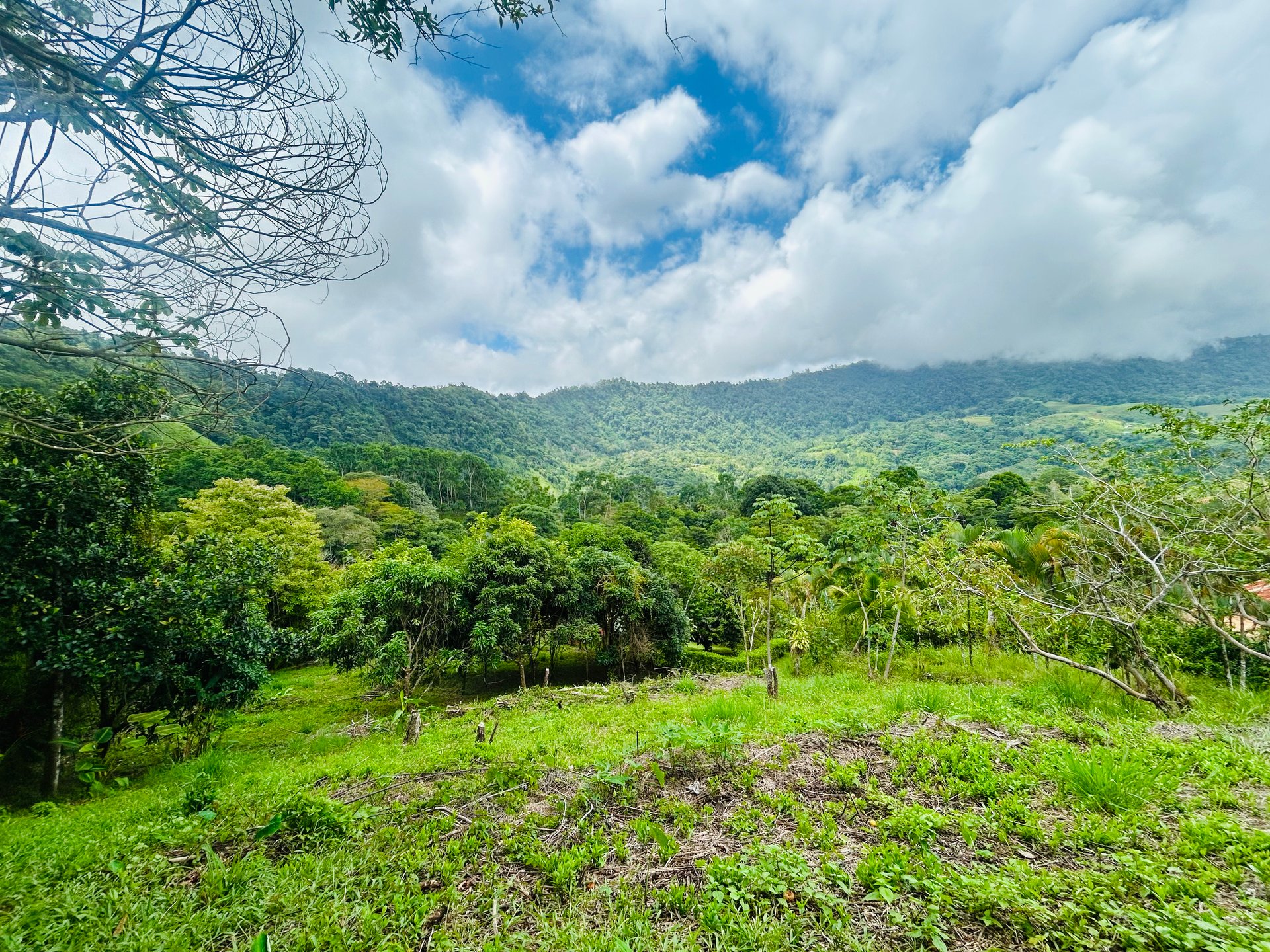 Ocean & Mountain View Lot with Multiple Building Sites-20 Minutes from Uvita