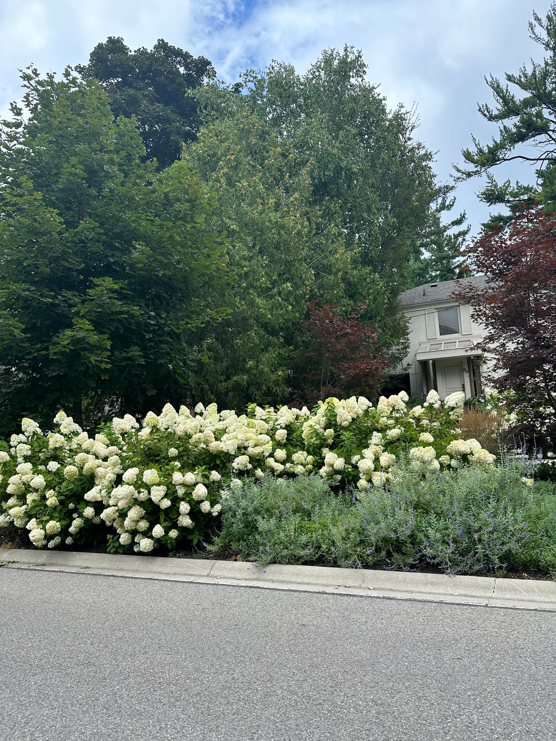 SOLD: Luxurious Country Living In The City