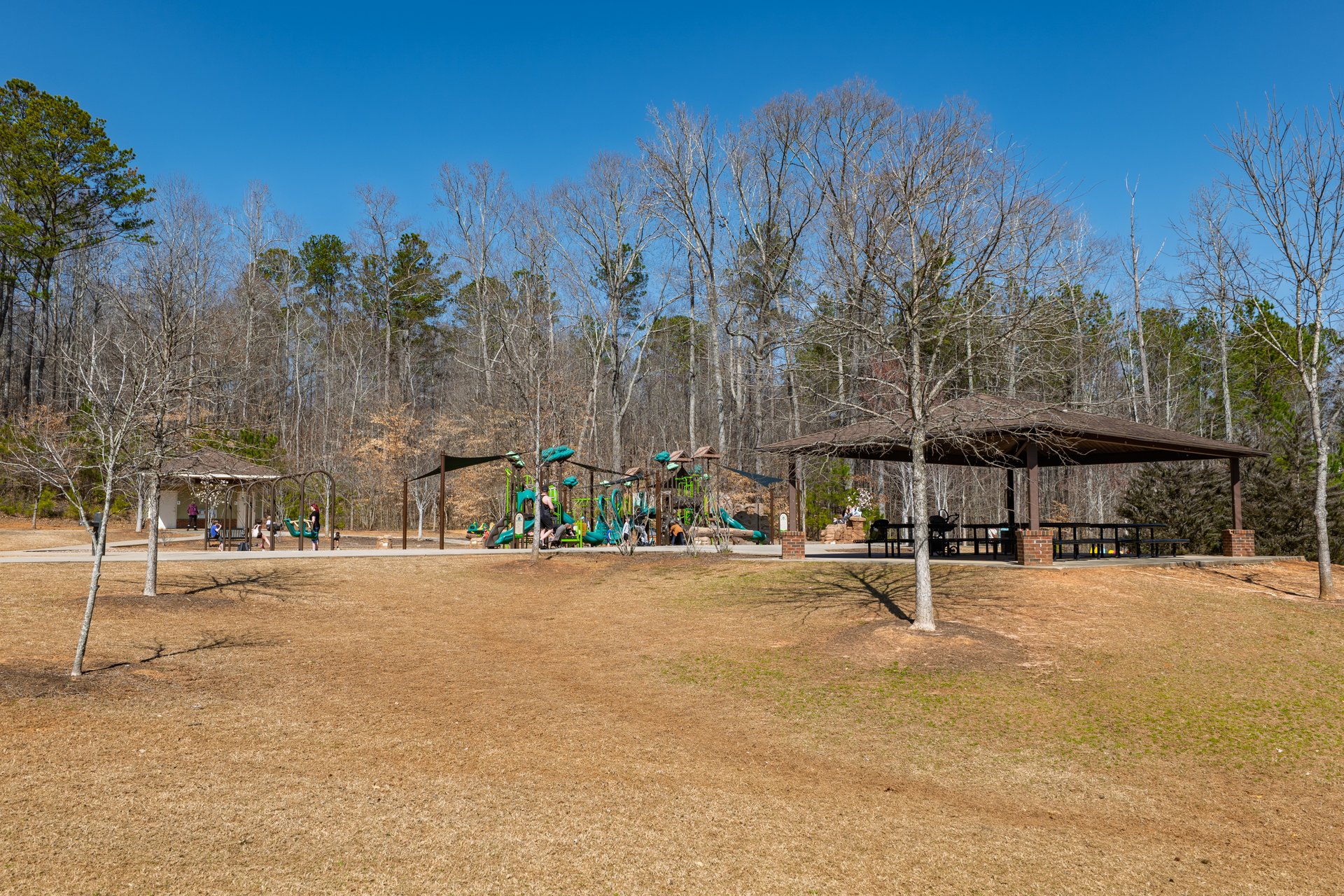 403 Tea Olive Court