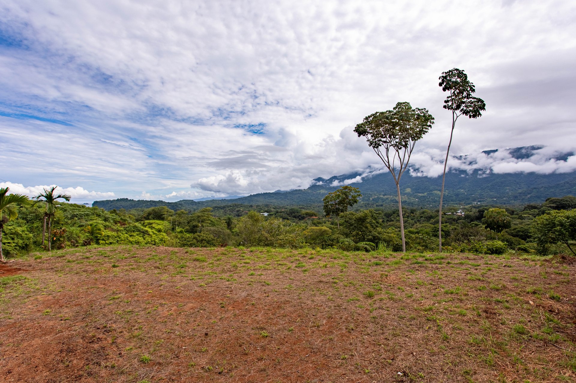Ocean, Mountain View Ready to Build Lot on Desired Calle Perezoso