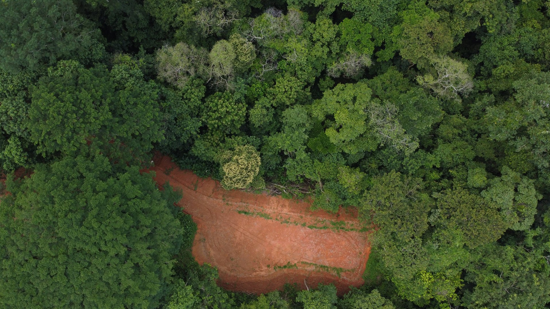 Jungle Oasis with River Frontage Near Dominical – 5.2 Acres of Pure Nature