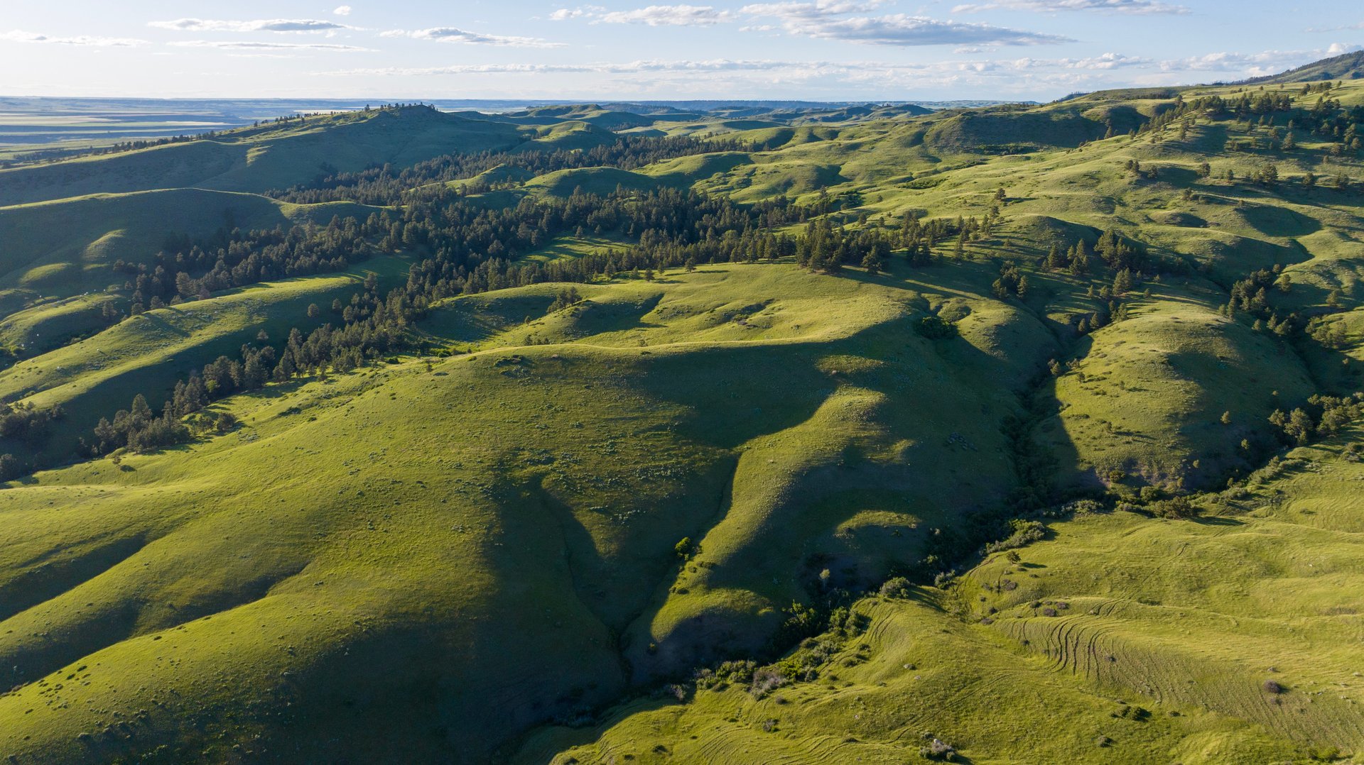 Big Spring Legacy Ranch