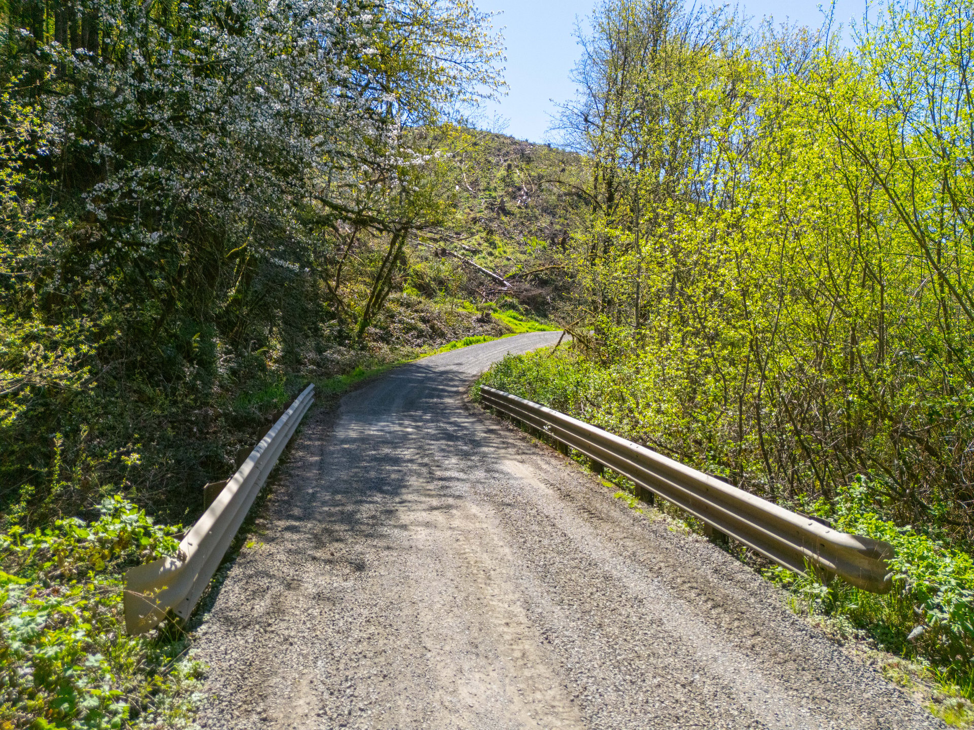 Sharewater Homesite
