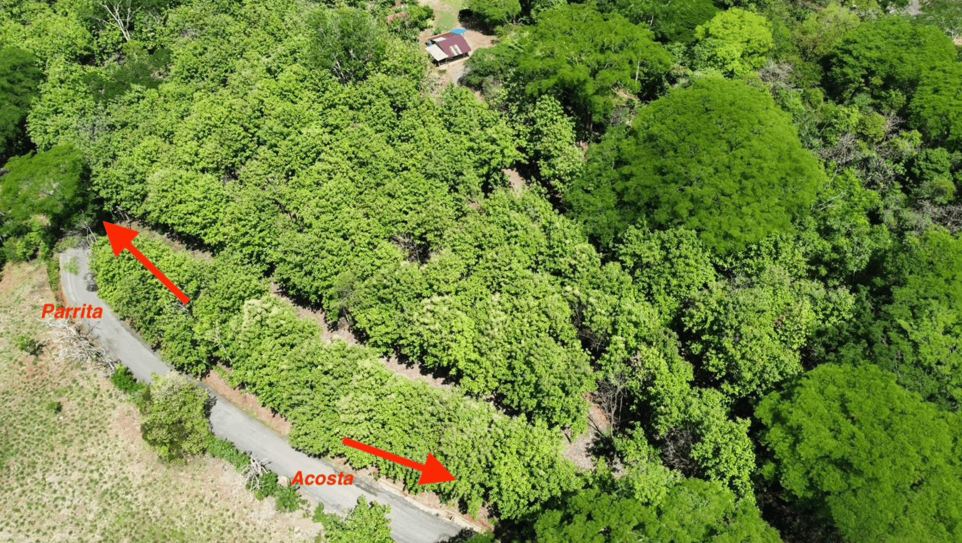 7-Hectare Farm with Teak Plantation, Existing Home & Eco-Development Potential Near Parrita, Costa Rica