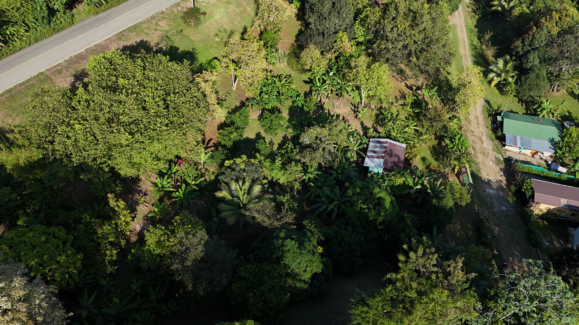 Commercial & Residential Property in Punta Mala with Producing Fruit Trees