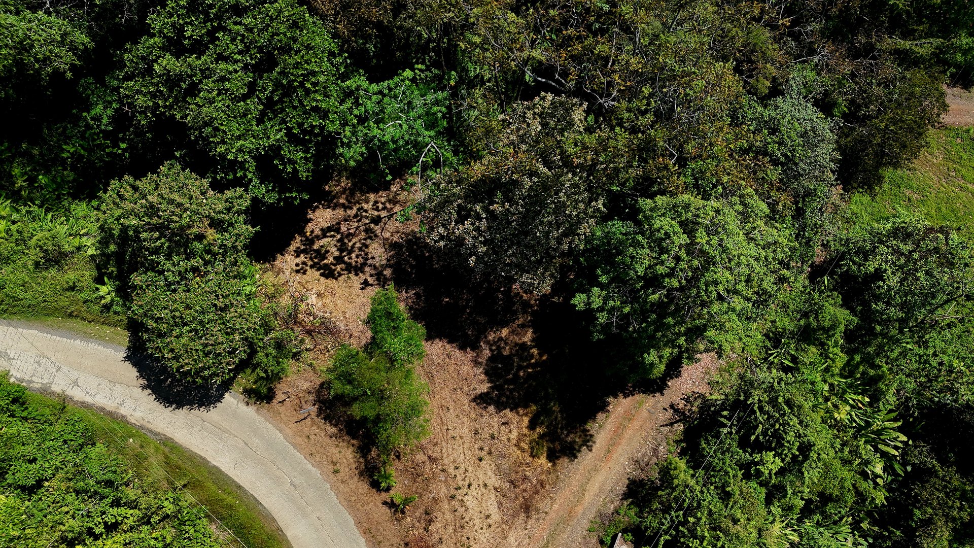 Ocean View Property with Plantel and Trails in Hatillo – Ready to Build
