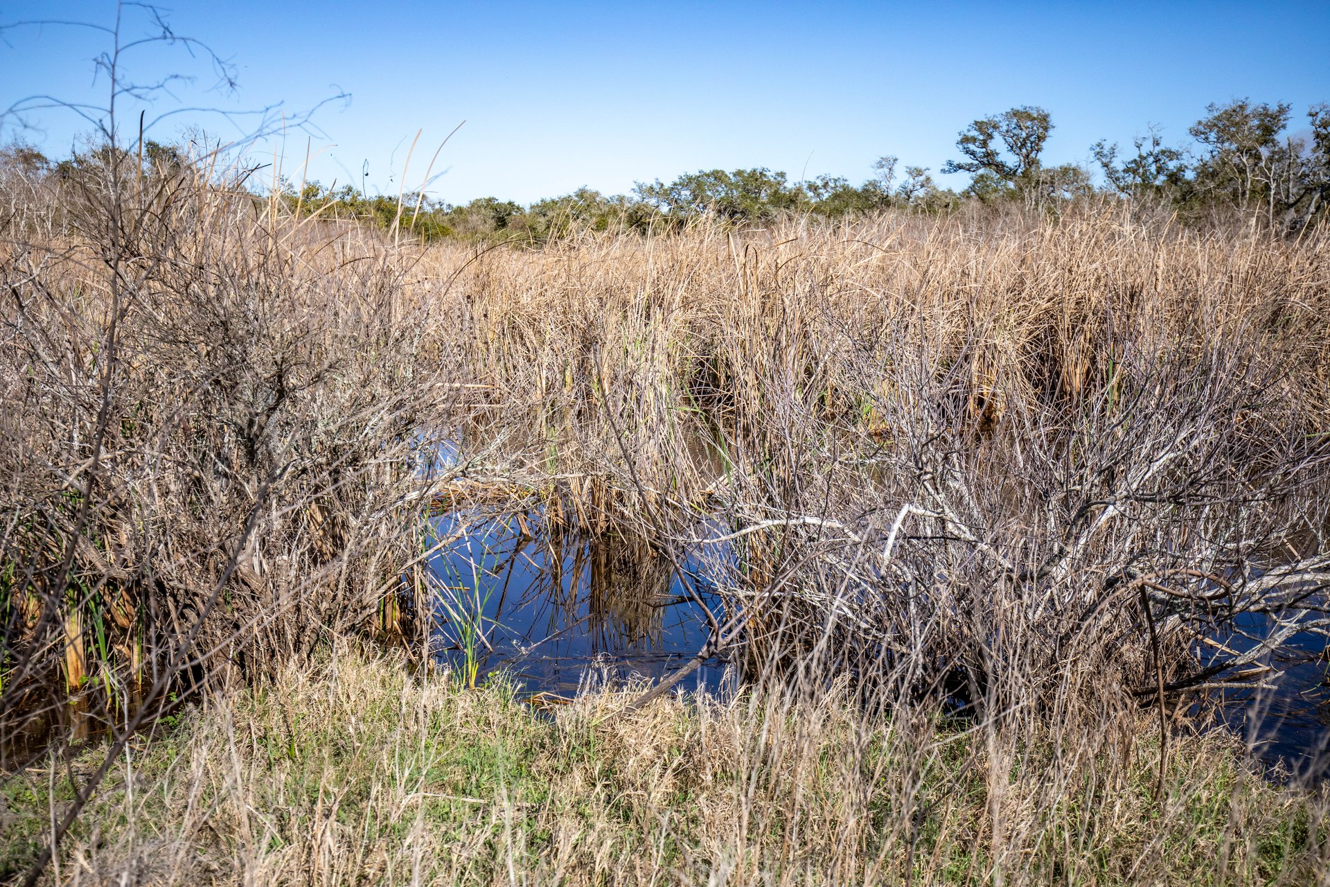 Lamar Peninsula Development Tract |  51.81± Acres | Aransas County