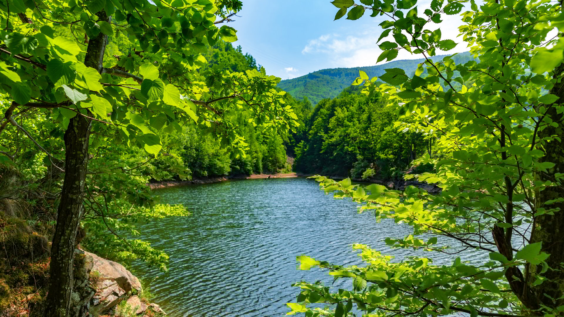 “Missed Spring? How to Sell Your San Jose Home in Late Summer: Evergreen & Silver Creek Strategy”
