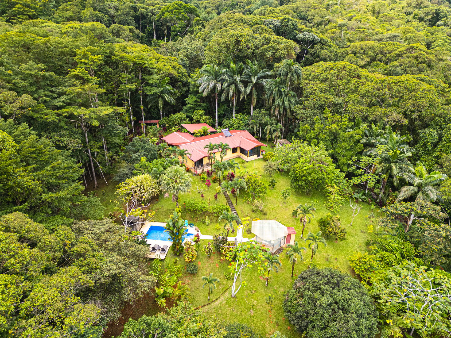 Serene Costa Rican Jungle Retreat with Waterfalls & Wildlife