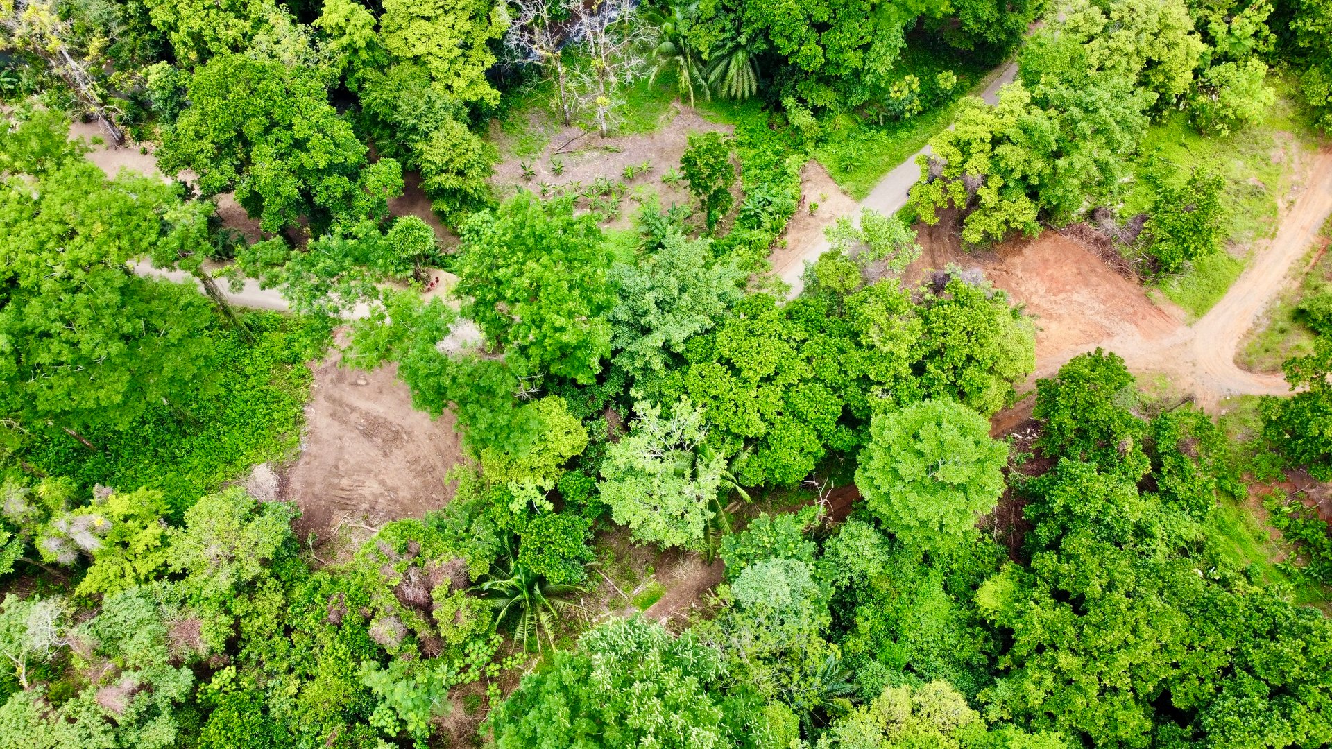 Ready-to-Build Land in San Antonio de Damas: 2,6-Acre with Terraces & Road Frontage