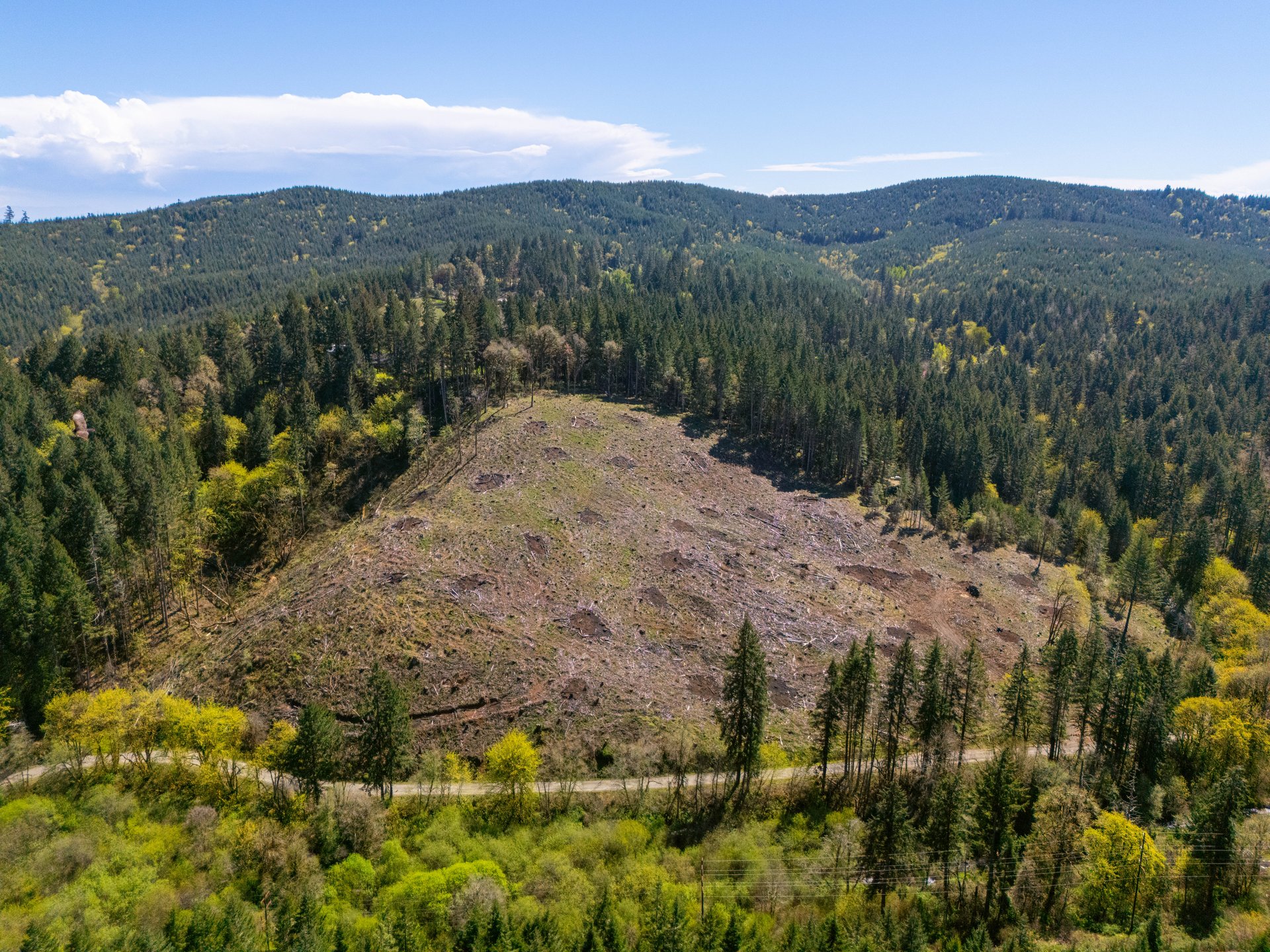 Sharewater Homesite