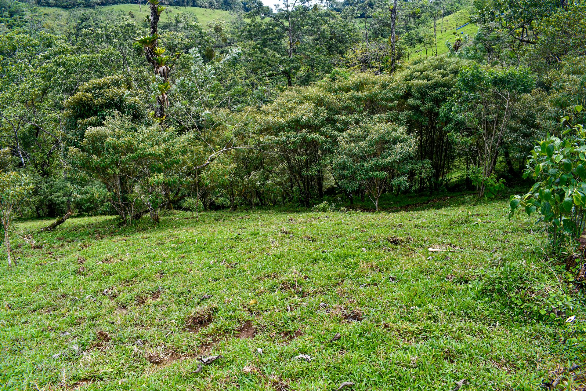 Finca Altamira | Boasting breathtaking panoramic views of the majestic Miravalles Volcano!