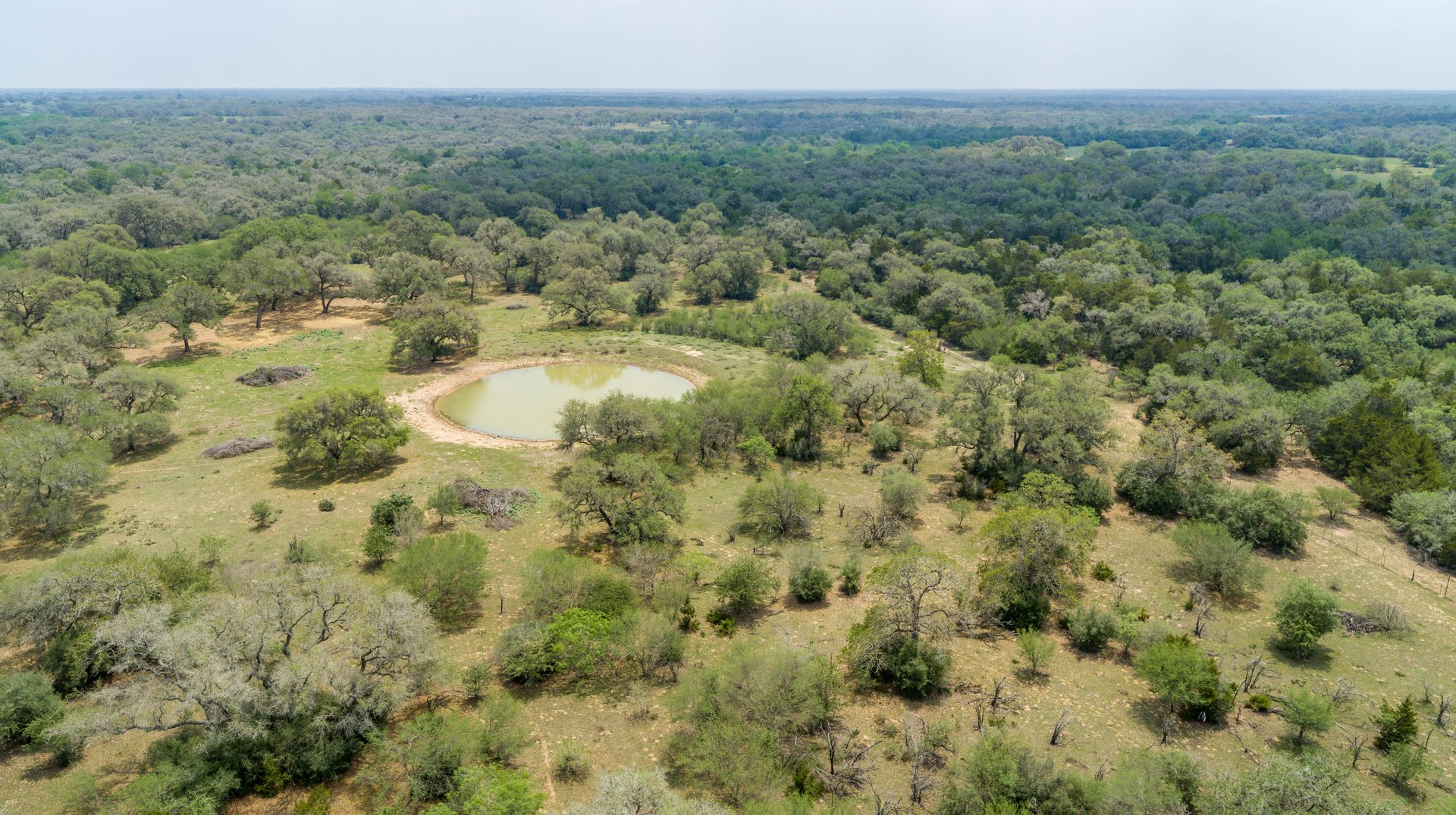 Five Mile Creek Reserve | 252.73± Acres-High Fence | DeWitt County, TX