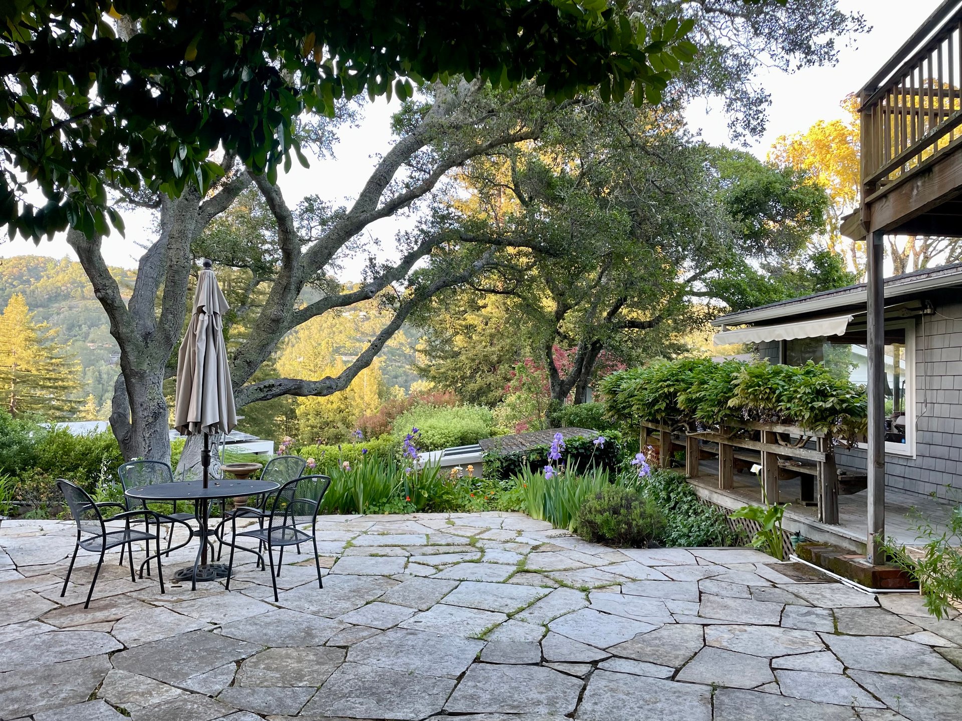 Mill Valley Legacy Property