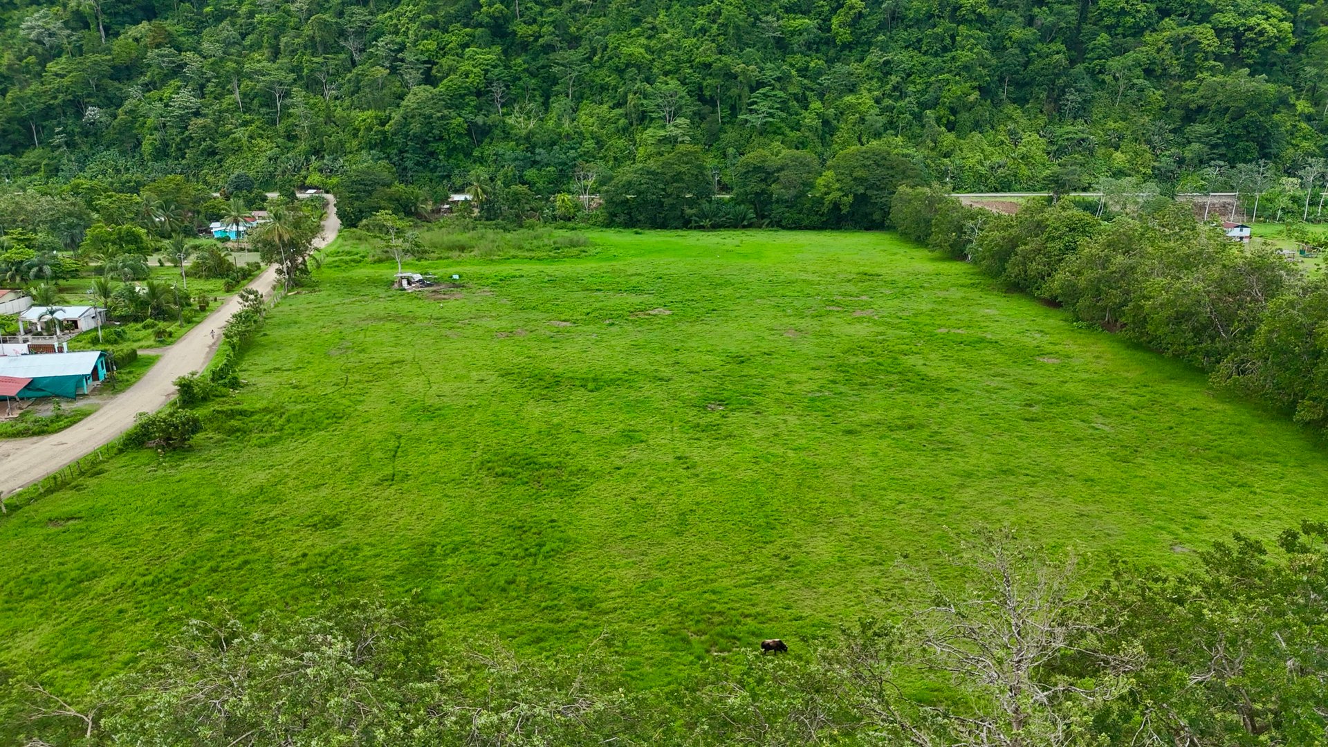 Fire Sale – Over 12 Acres of Land with Public Road Frontage Near Ojochal