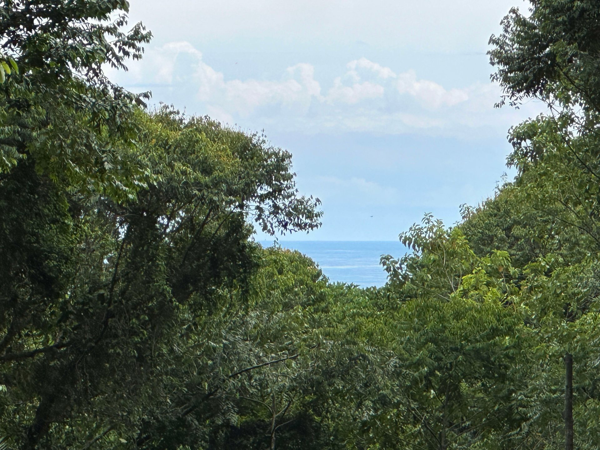 Tranquil Oasis: 8.8 Acres of Pristine Paradise in Dominicalito, Costa Rica
