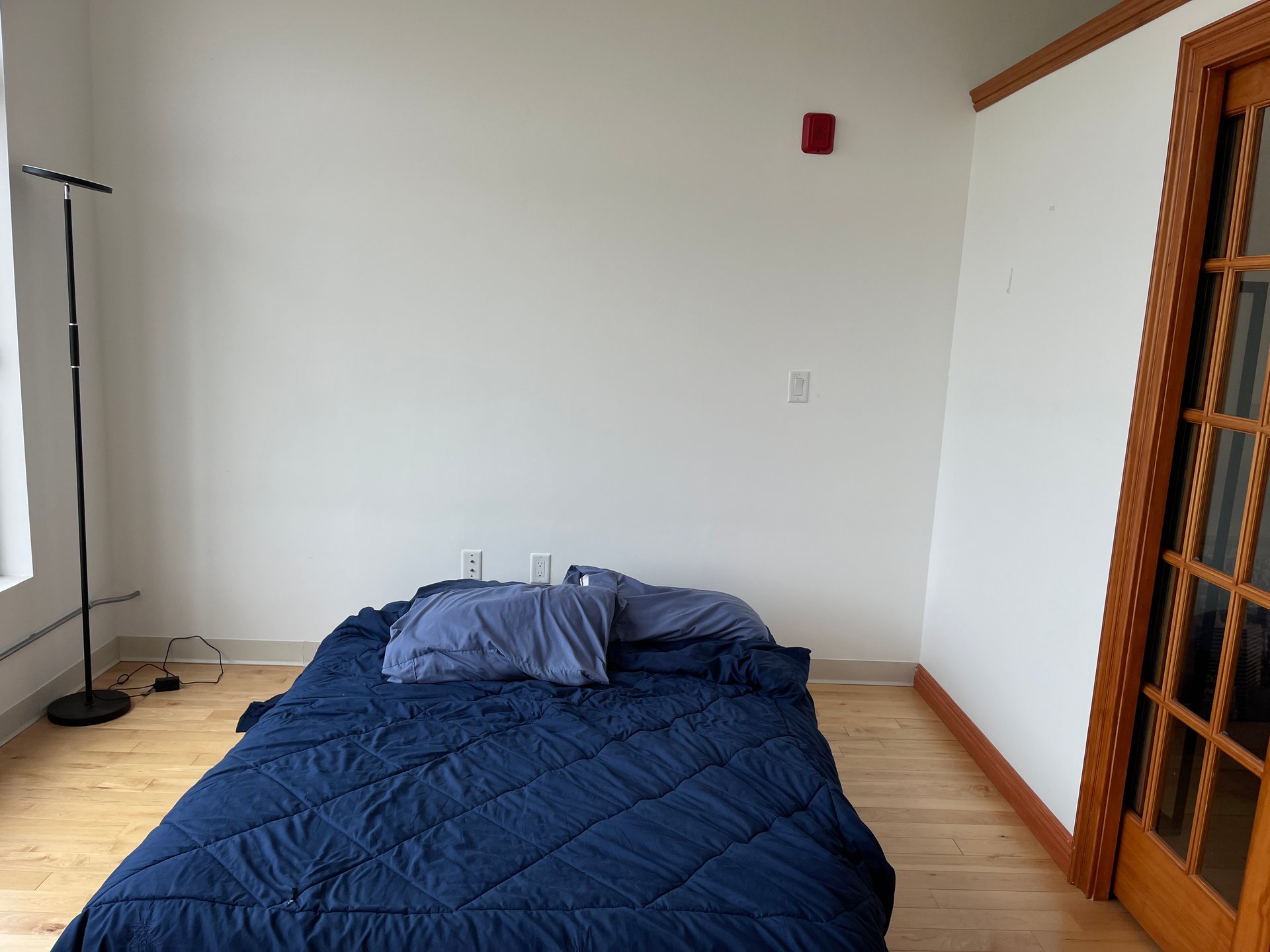 Northampton Street - One bed one back with laundry, roof deck, elevator and Parking! 