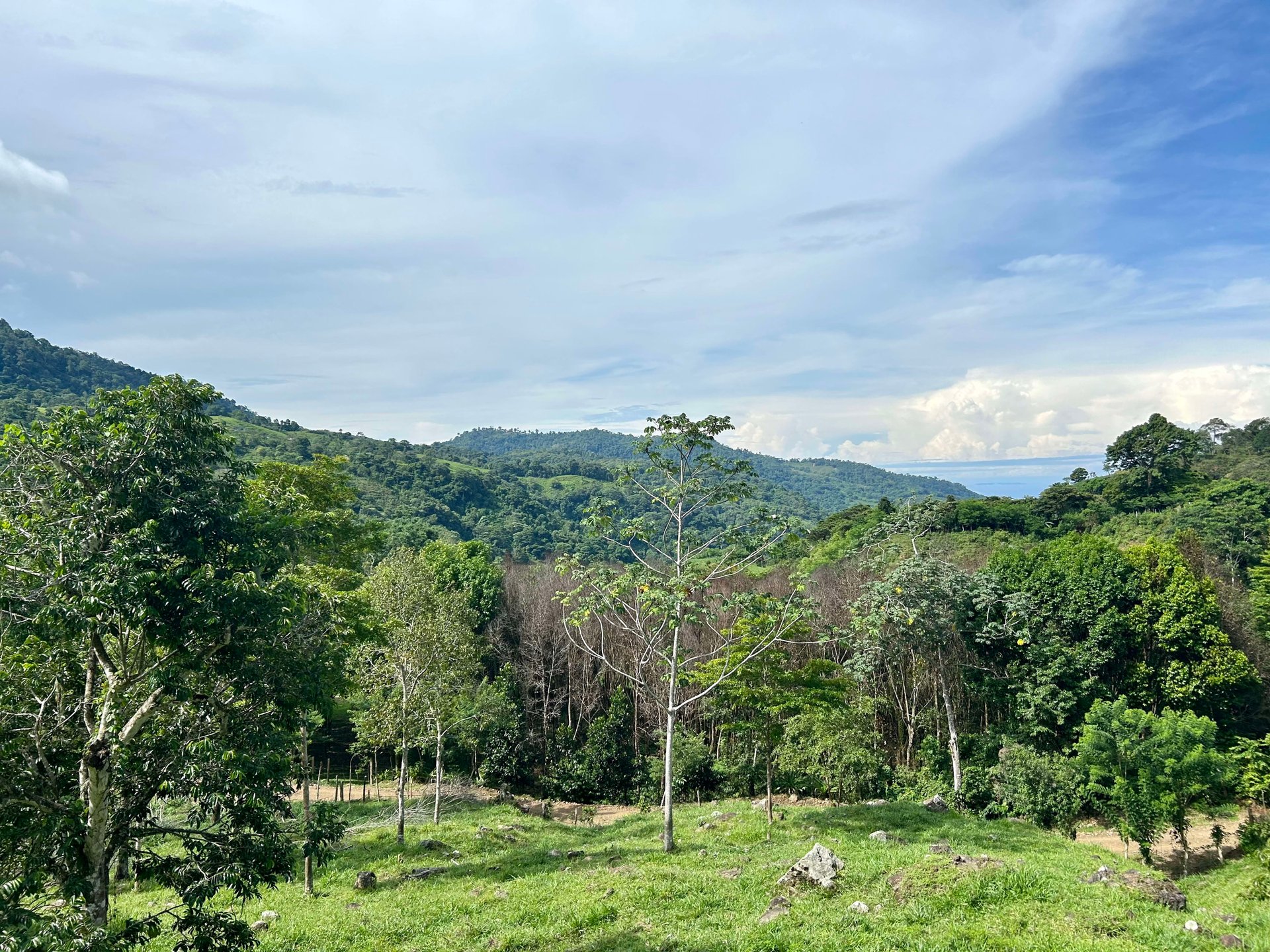 FIRE SALE!! Ocean View Farm in San Luis de Morete, Over 23 Acres