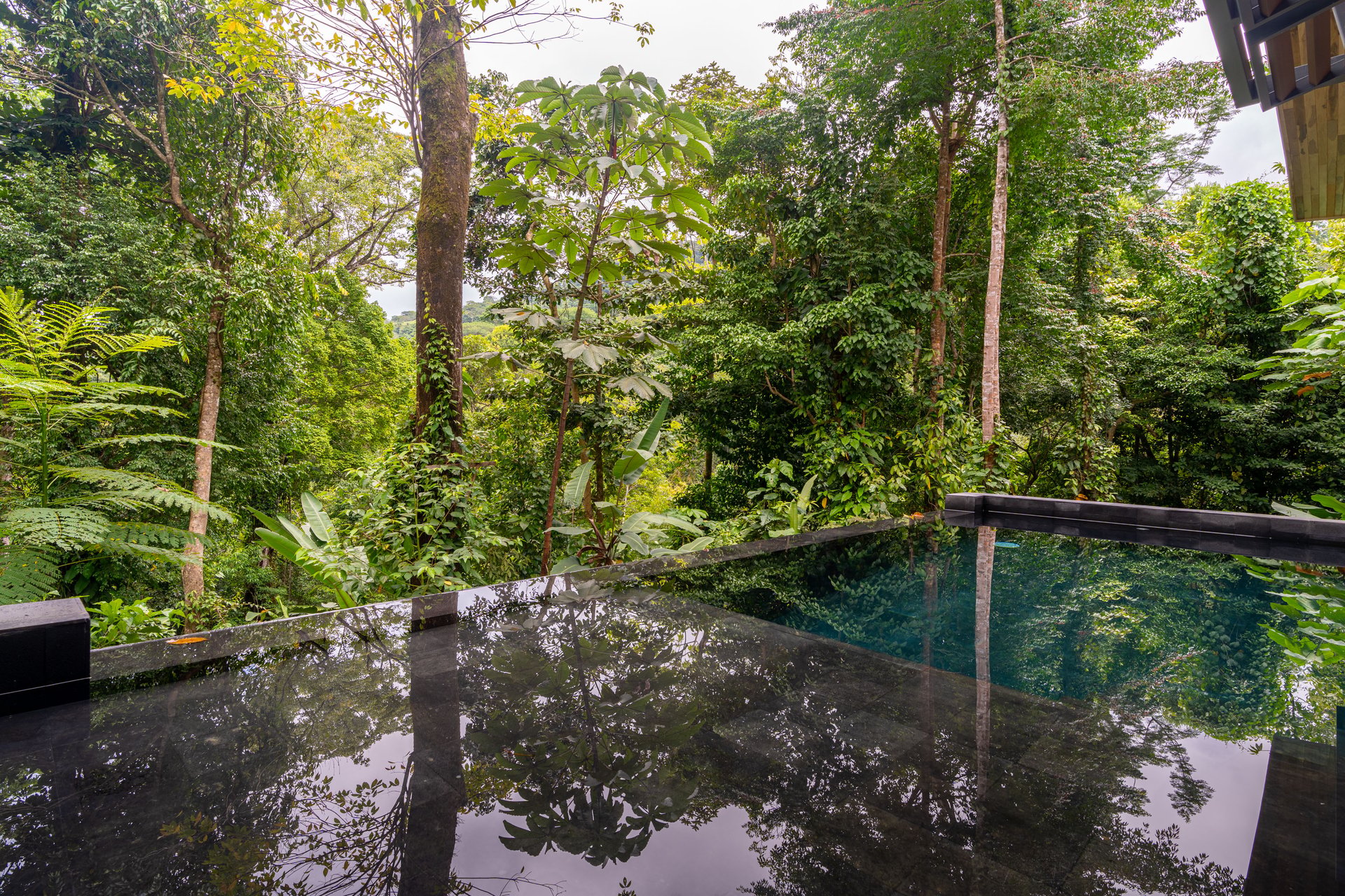 Casa Selva Vida, Uvita Costa Rica