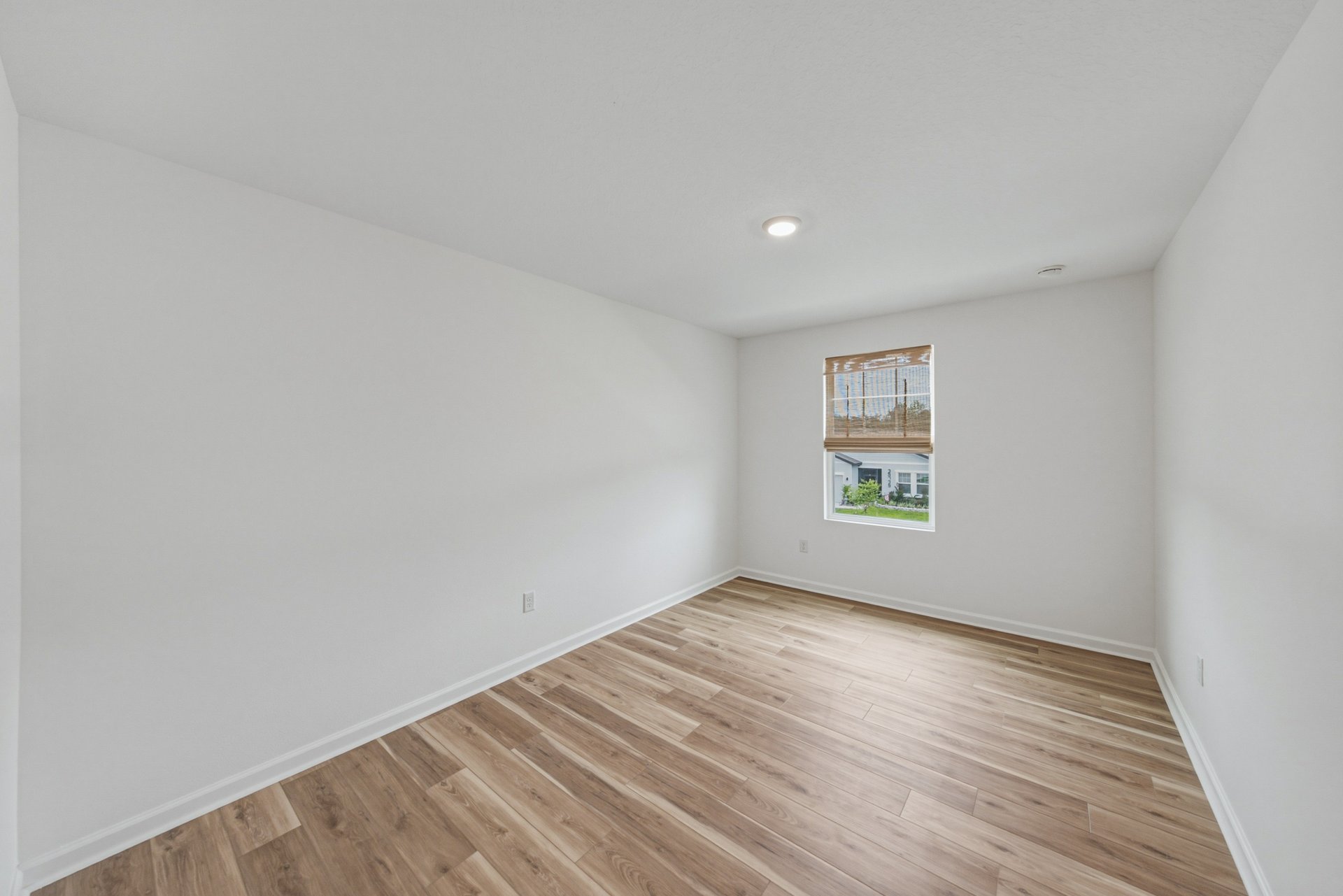 35746 BUTTONWEED TRL