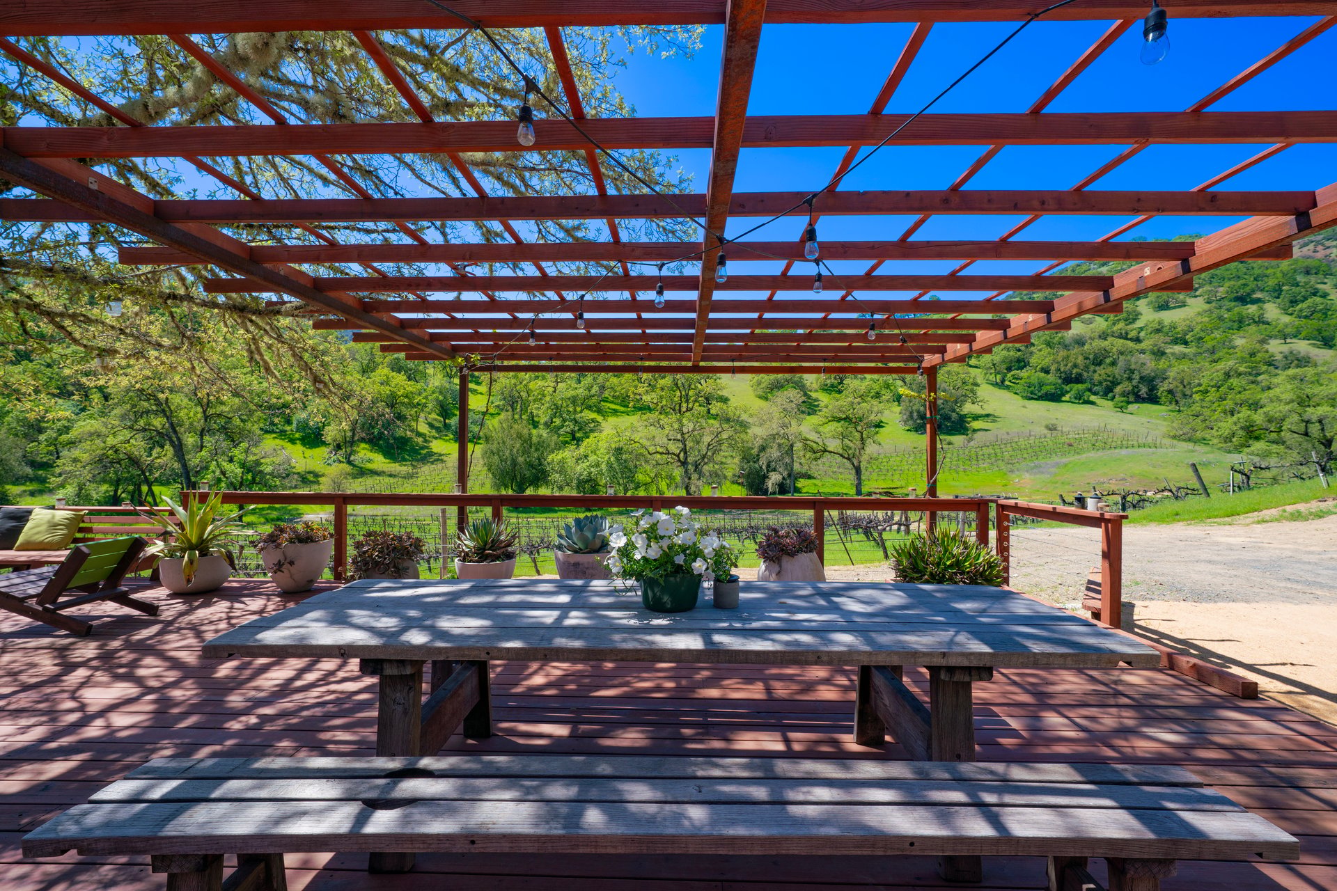 Open Hand Ranch 