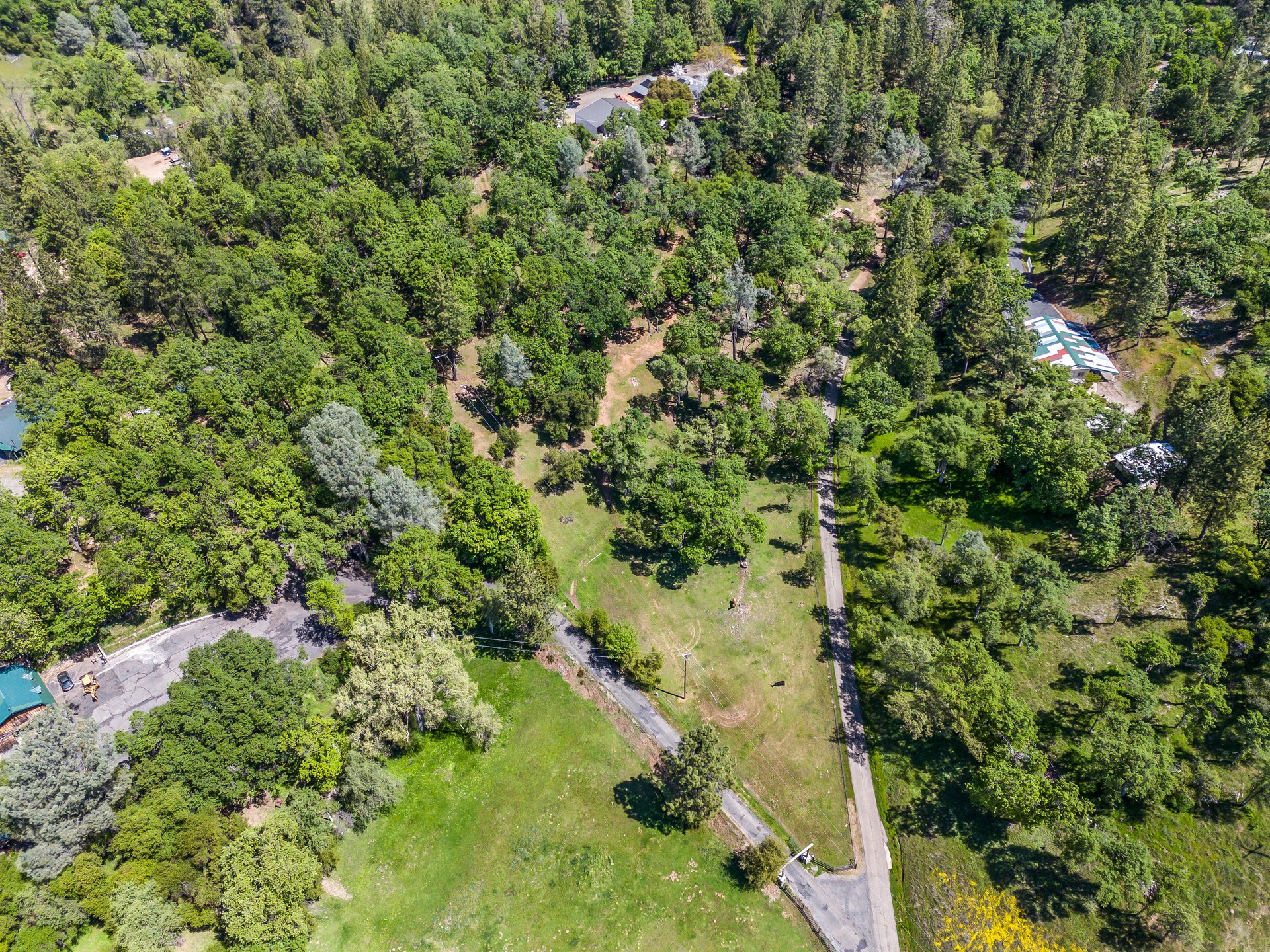 2405 No Walk Rd, Placerville