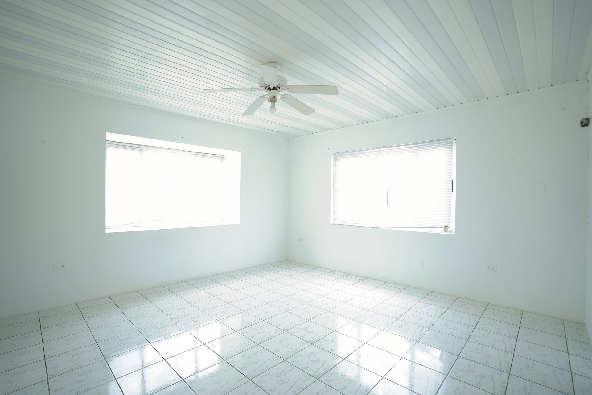 Sero Blanco 209