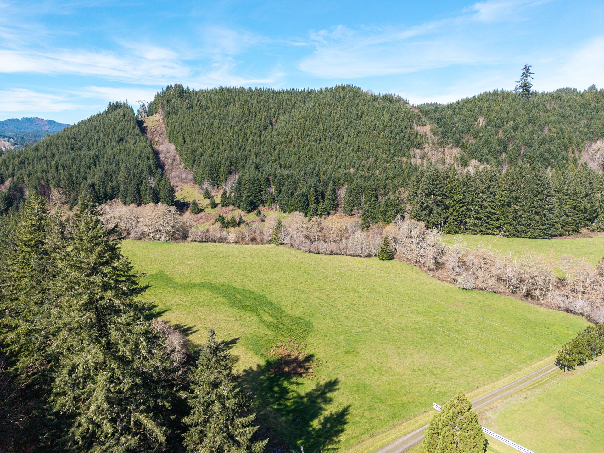 LITTLE ELK TREEFARM