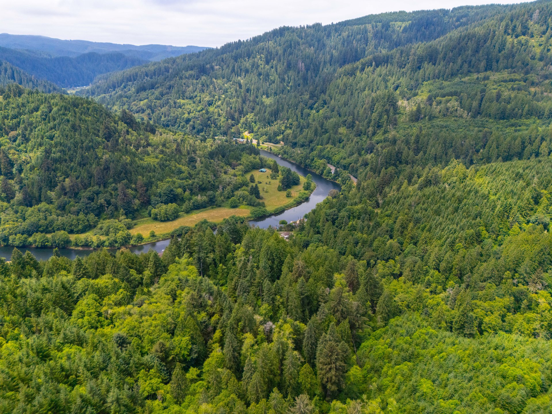MILL CREEK FOREST