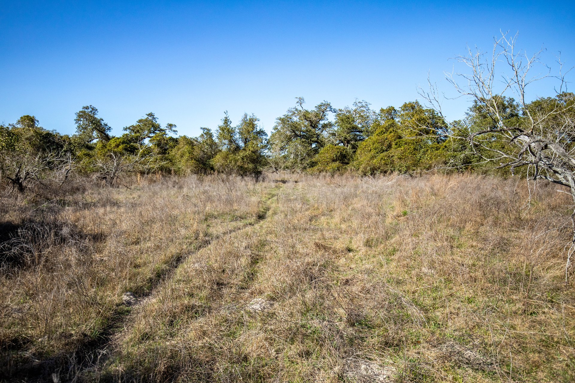 Lamar Peninsula Development Tract |  51.81± Acres | Aransas County