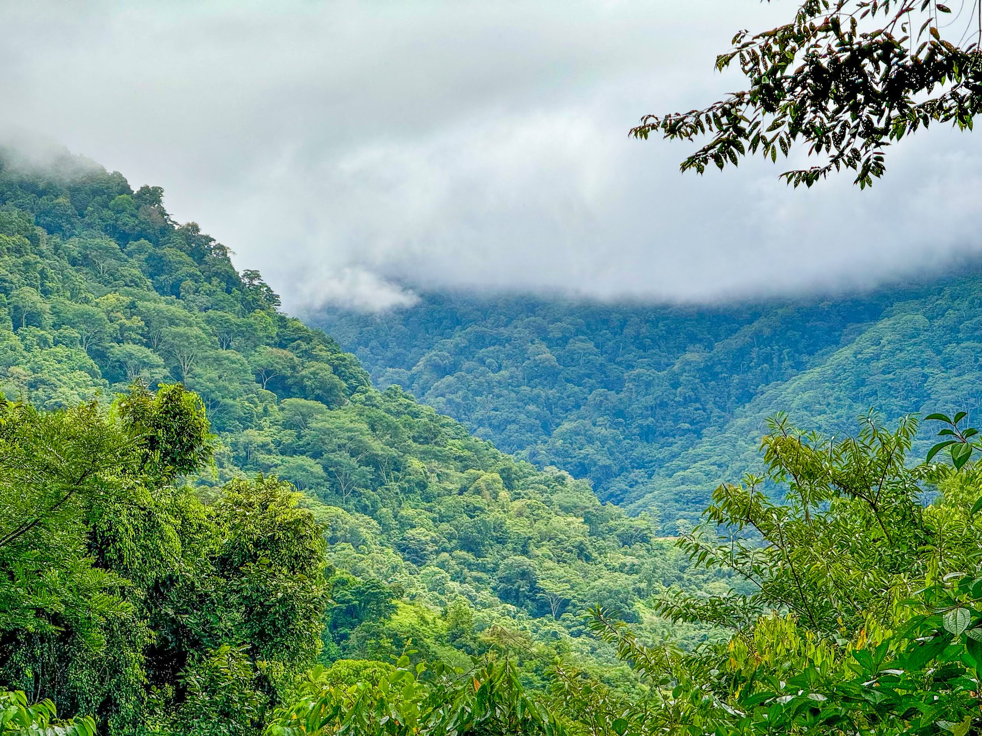 Jungle Retreat with River, Views & 2 Homes in Tres Rios