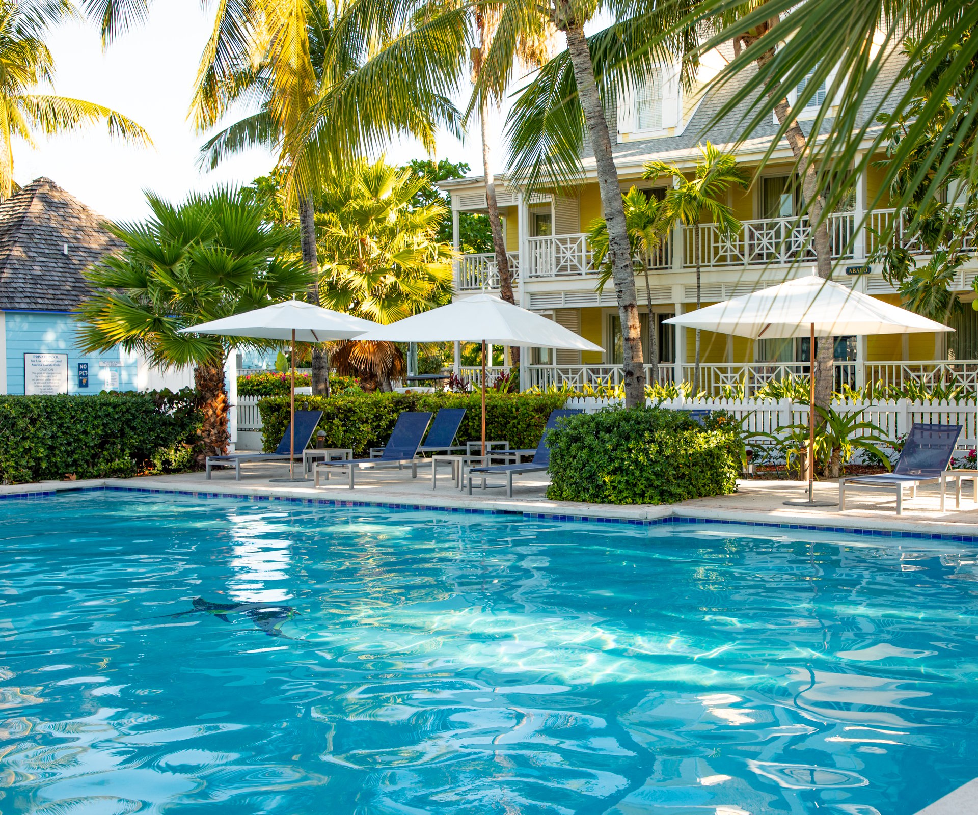 Island Paradise - Exuma 201