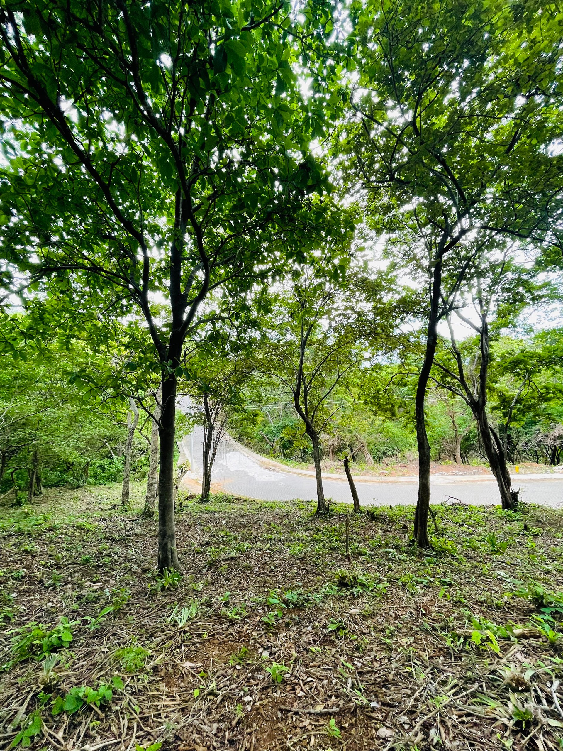 Valle Escondido