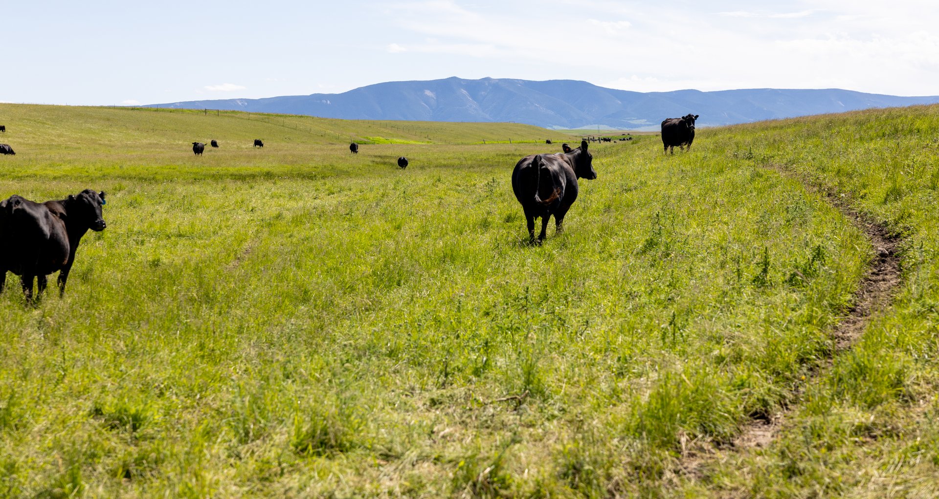 Hauck Coulee Ranch