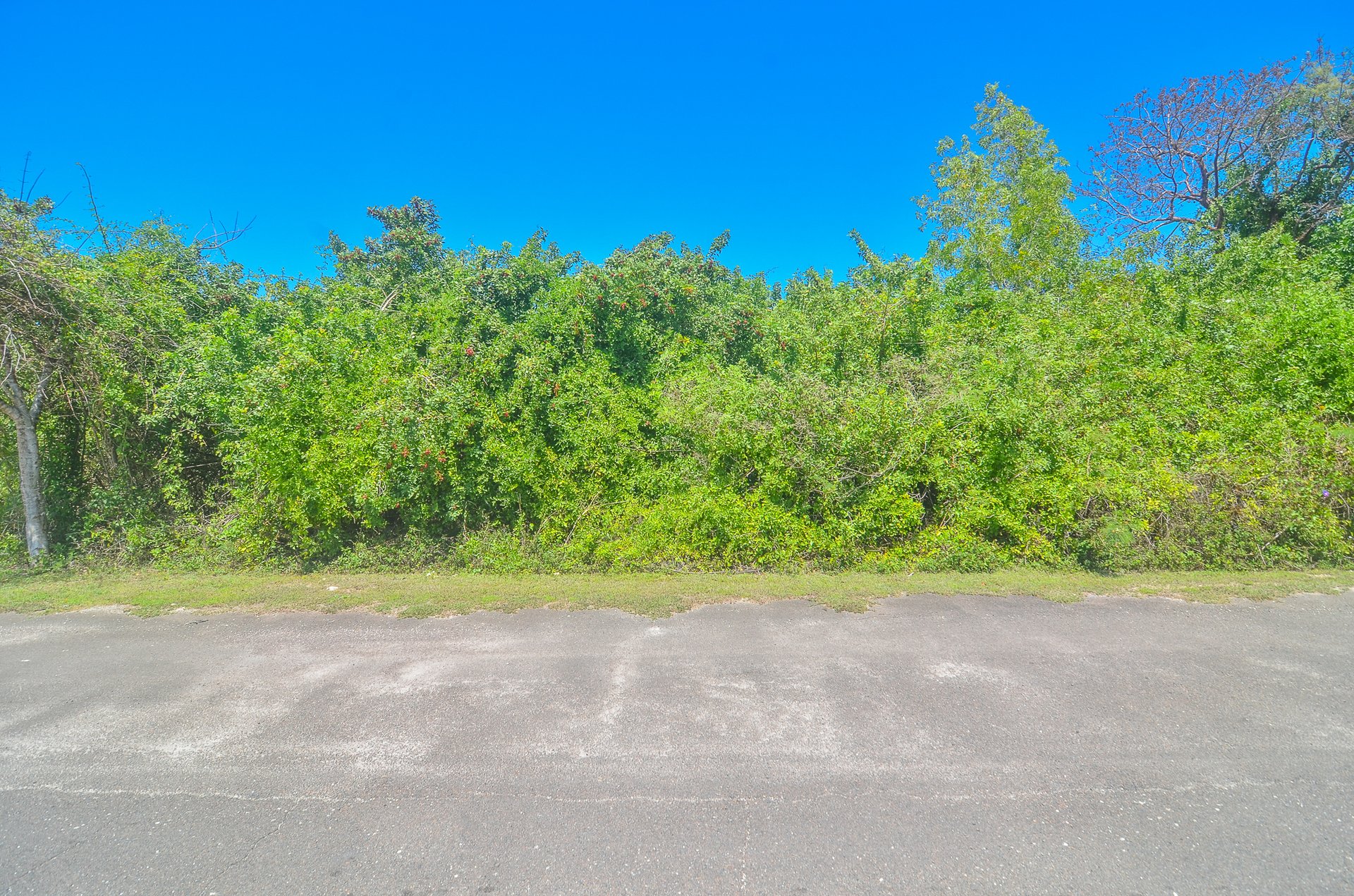 Lot #87 Lyford Hills