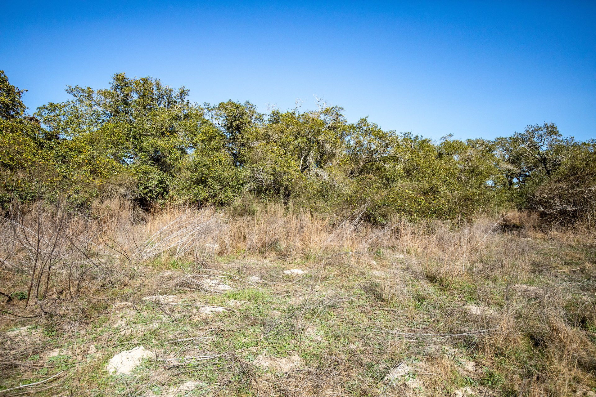 Lamar Peninsula Development Tract |  51.81± Acres | Aransas County