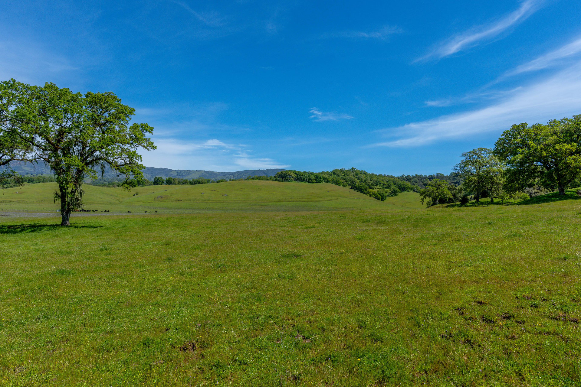 The Hopland Hills Ranch