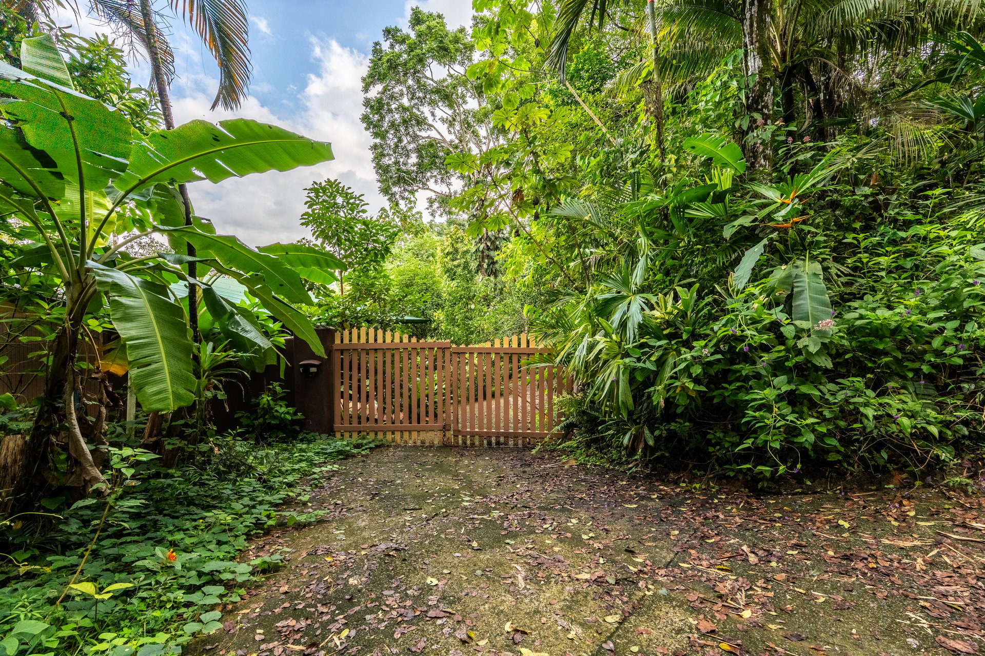 FIRE SALE!! | Where the Journey Begins | Private Jungle Estate at Nauyaca Waterfalls