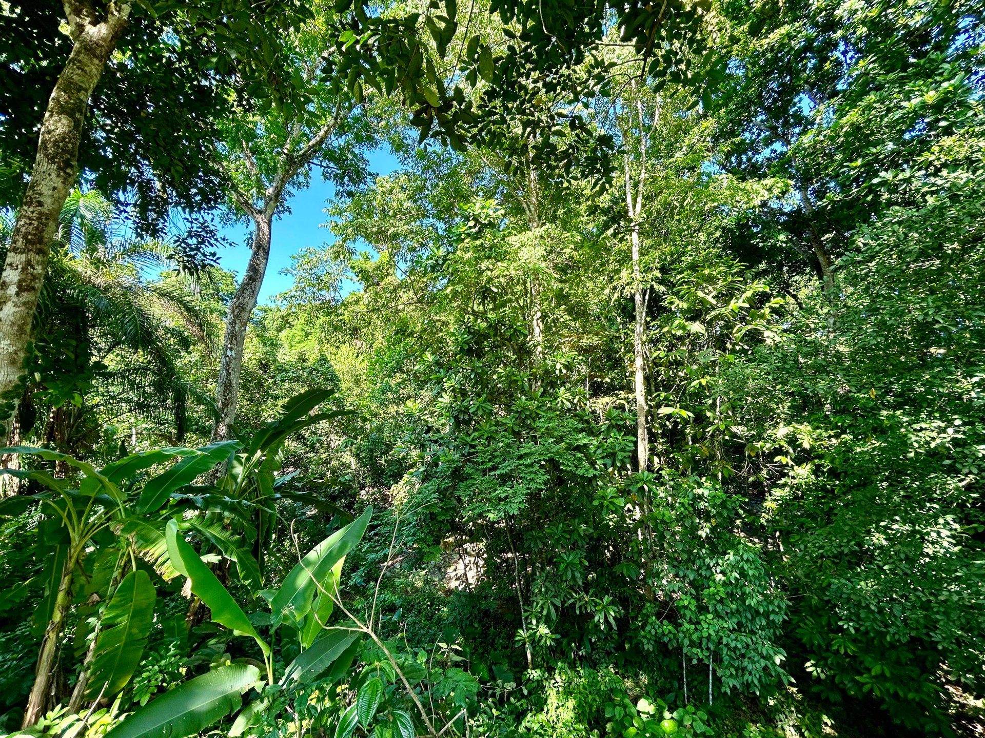 Surfer's Dream in Ojochal; 3 Bedrooms, 2 Bathrooms with Pool and River Access