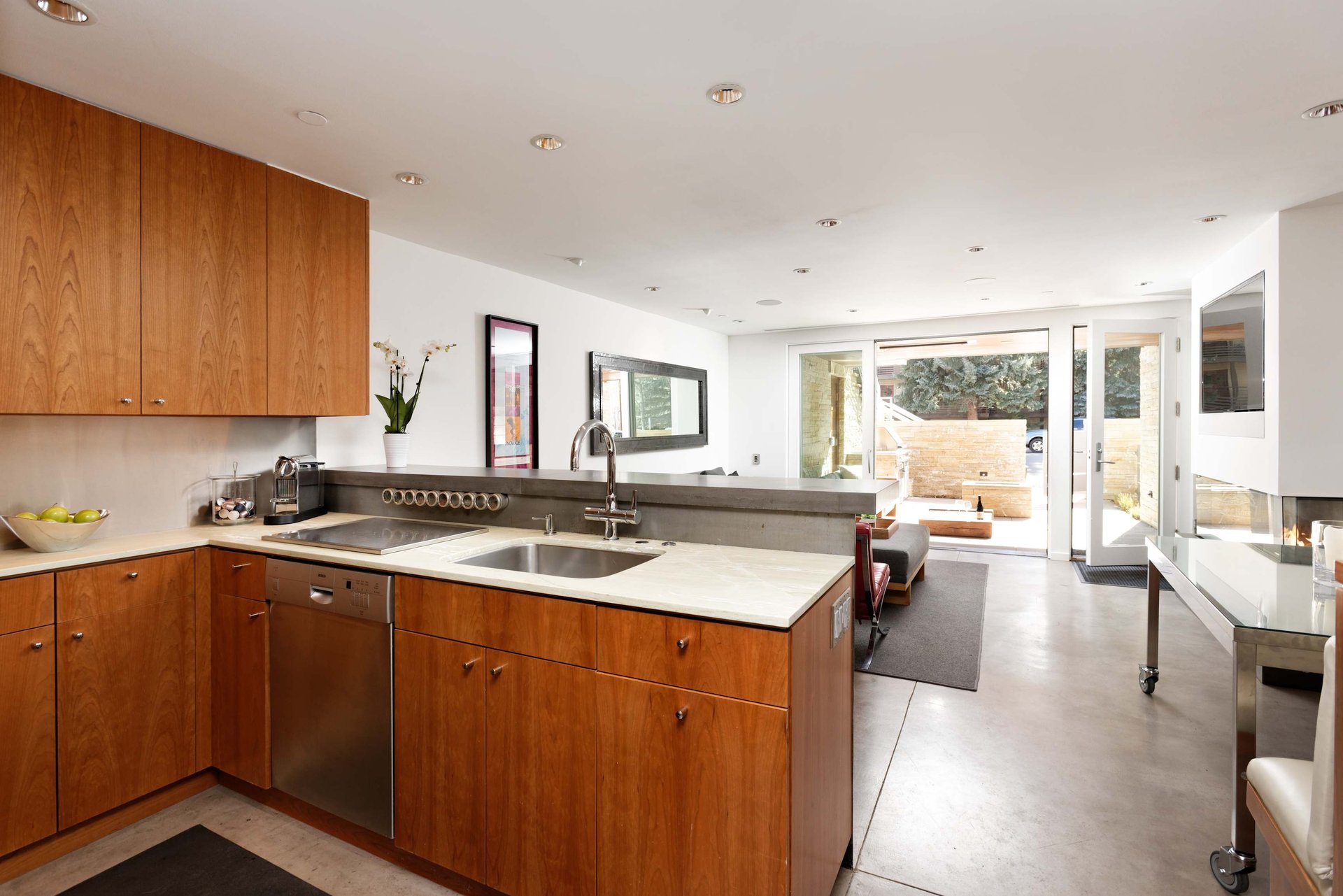 Remodeled One Bedroom Condo in Downtown Aspen 