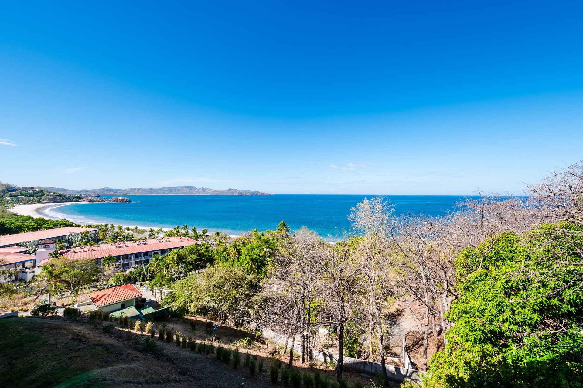 Oceanica 805 | Beautiful Ocean Views