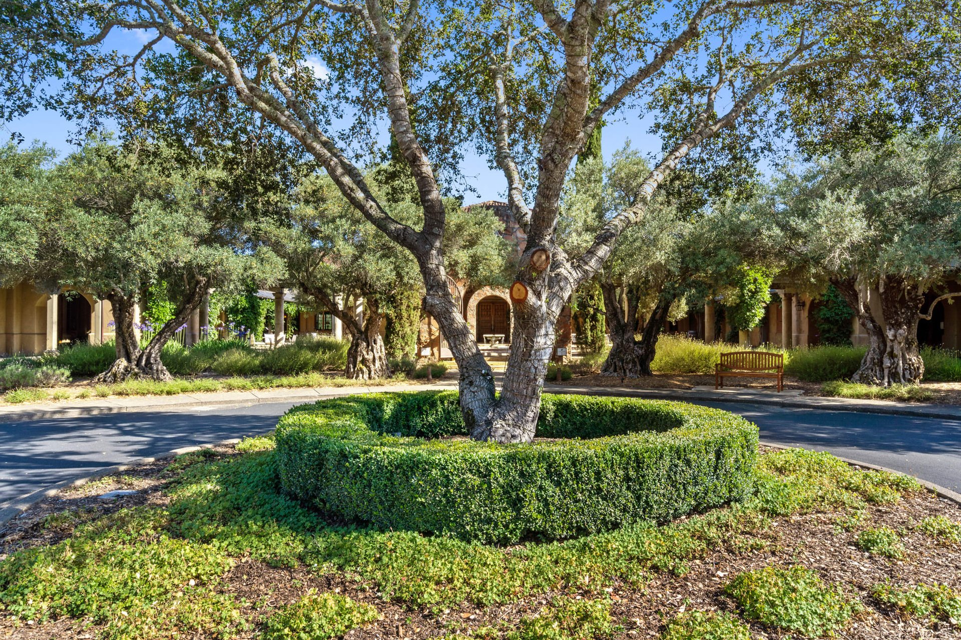 972 Cottage Valley Lane