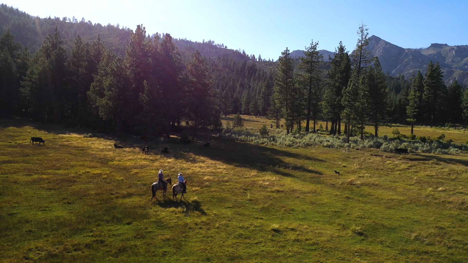 Randall Springs Ranch